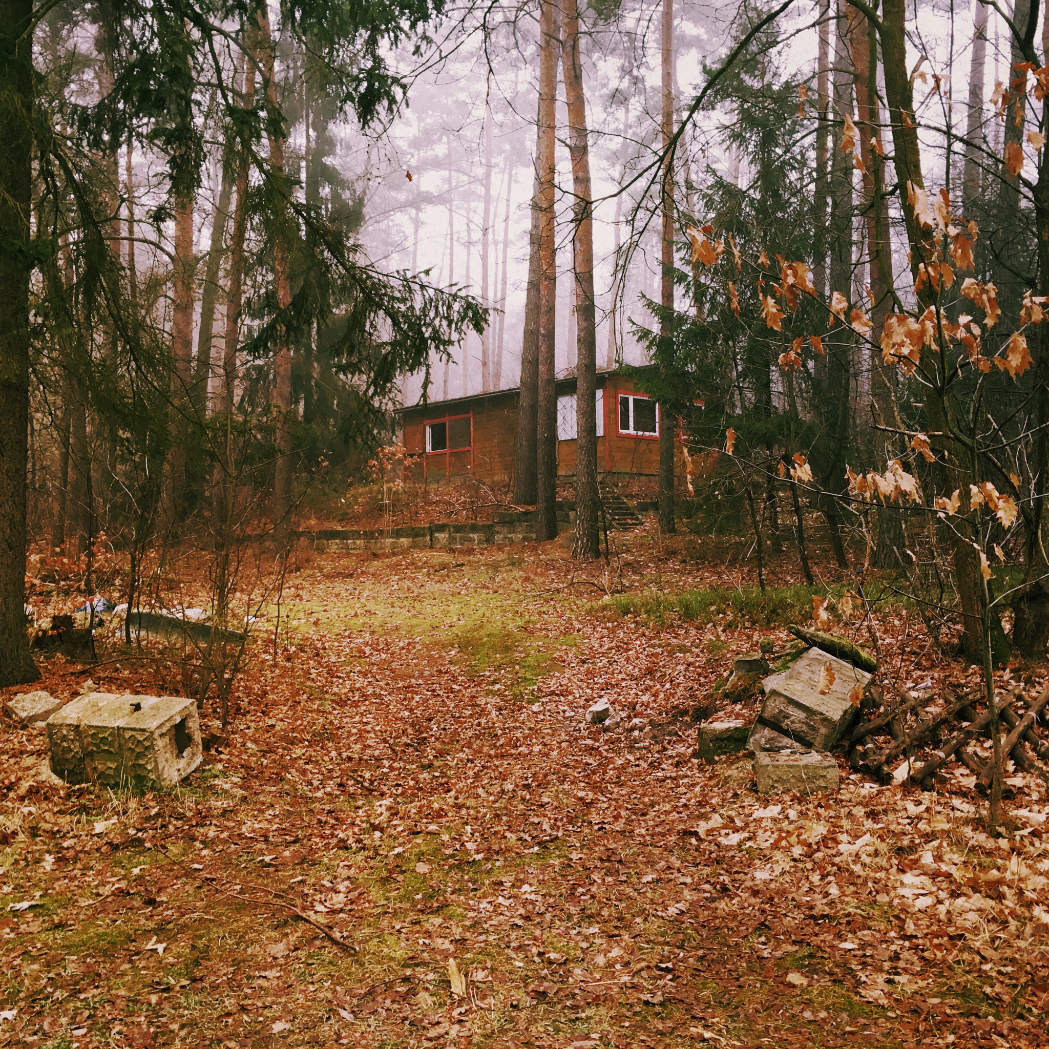 Hipstamatic 305 sample photo. Wanderung durchs mühlenbecker land photography