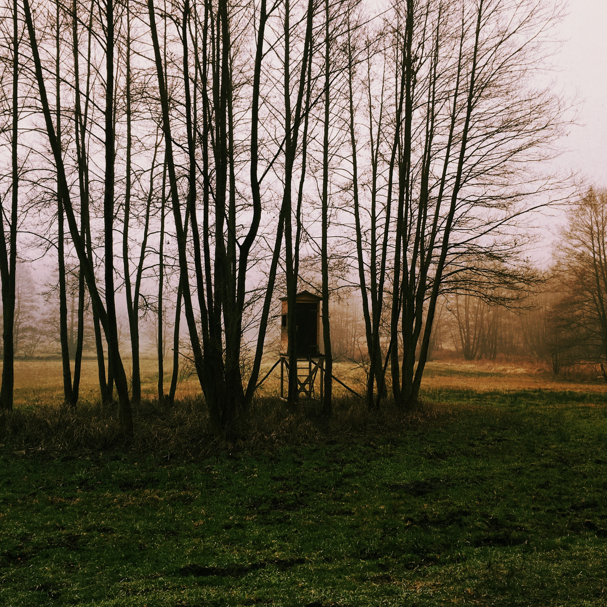 Hipstamatic 305 sample photo. Wanderung durchs mühlenbecker land photography