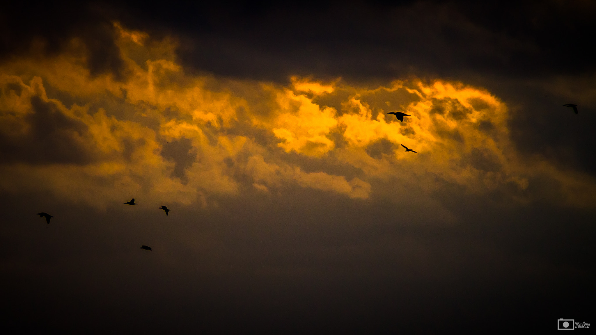 Canon EOS 1100D (EOS Rebel T3 / EOS Kiss X50) sample photo. Fly high -sunrise- photography