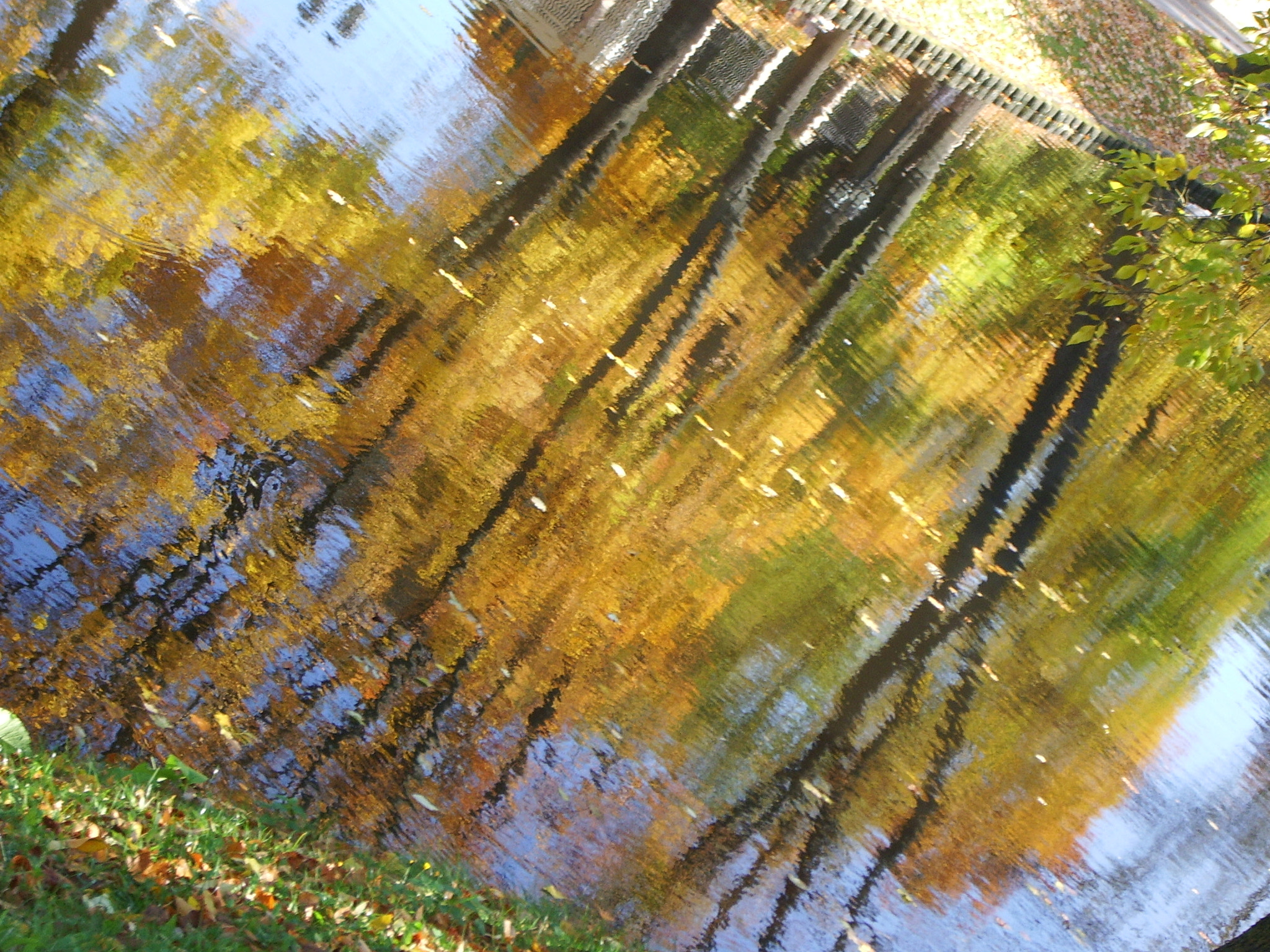 Pentax OPTIO S50 sample photo. Autumn in the water photography