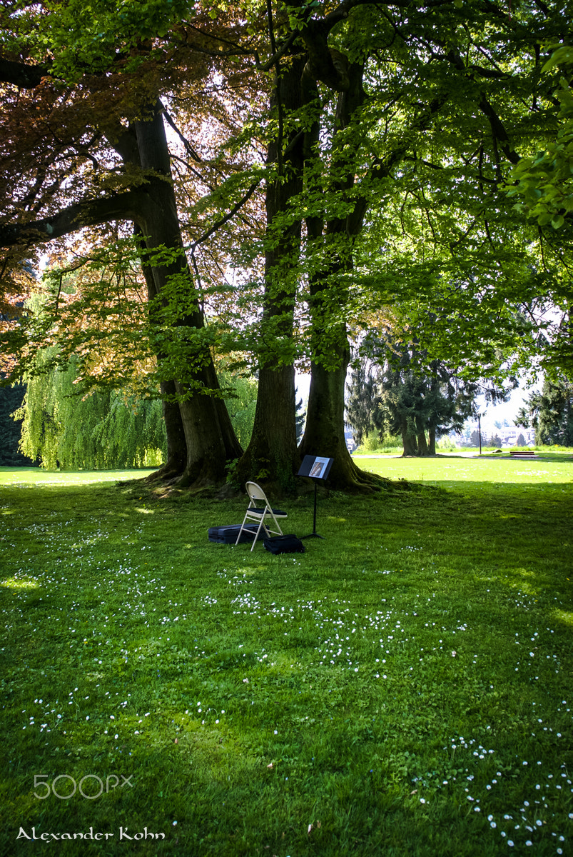 Sony Alpha DSLR-A100 sample photo. Solitude under the tree photography