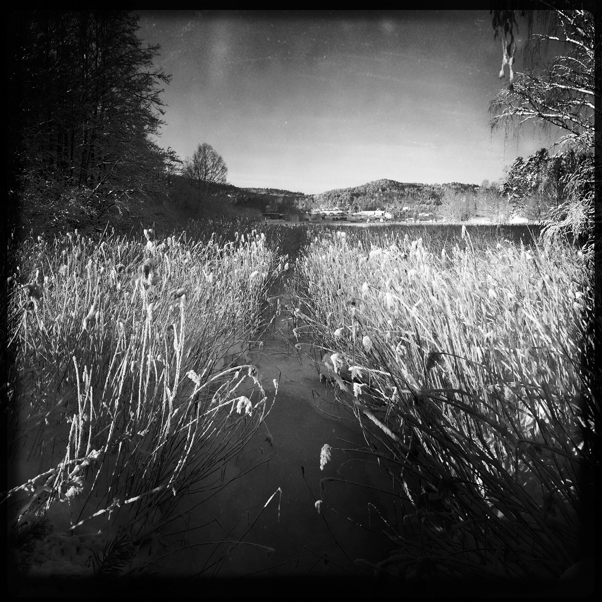 Hipstamatic 305 sample photo. Landscape photography