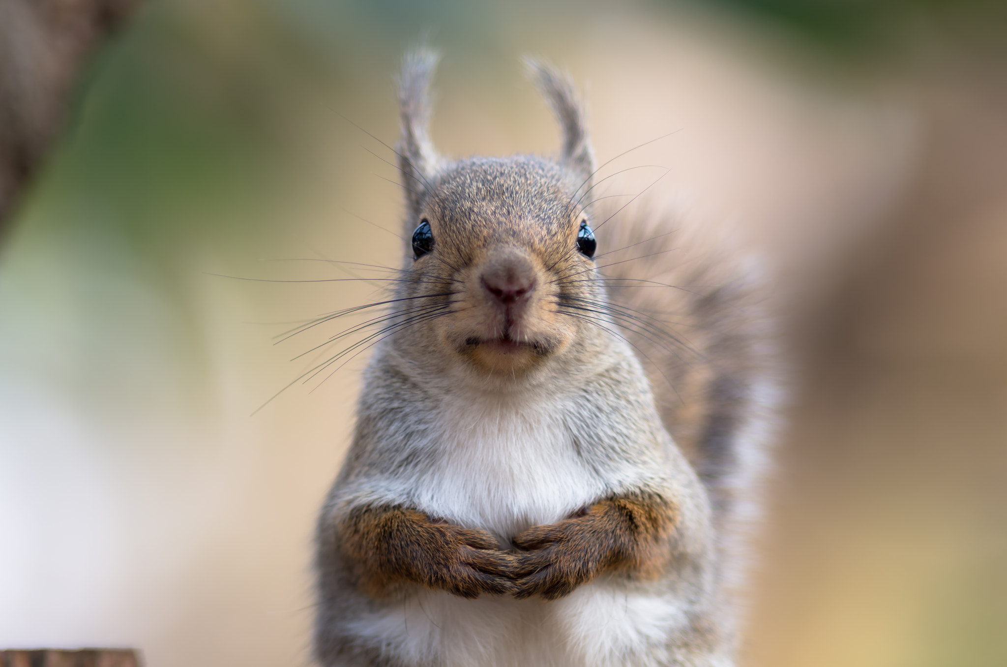 v2?sig=8dba5048b53fc5f220e9fd91af97e6f38ff54241bbaafc50dacae8aca91c0deb