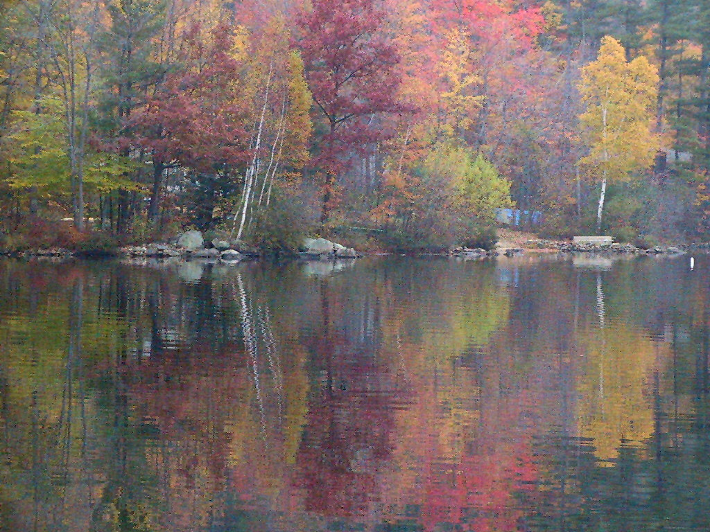 Canon POWERSHOT PRO90 IS sample photo. 26-10-2003 19-51-42.jpg photography