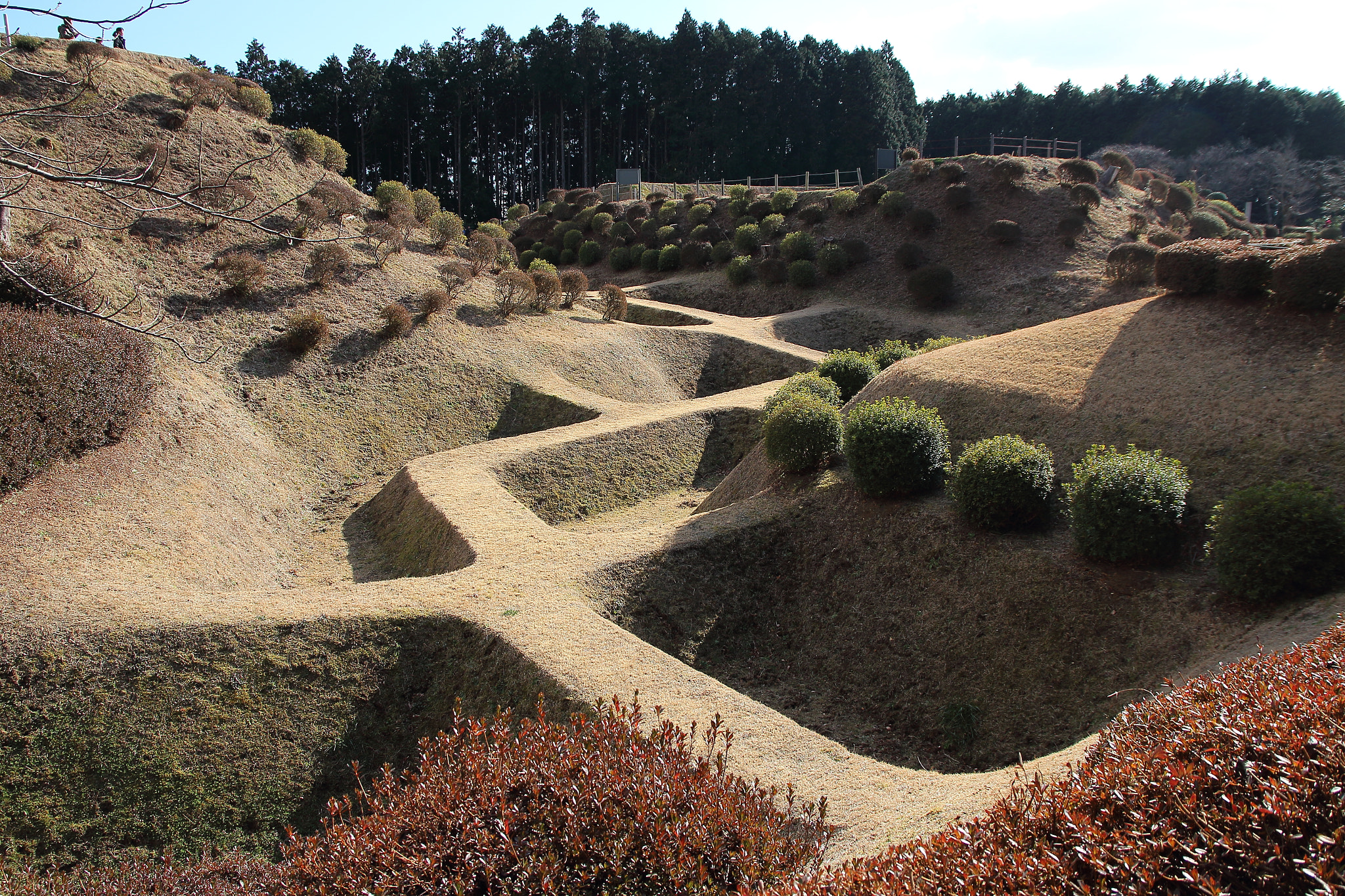 Canon EOS 700D (EOS Rebel T5i / EOS Kiss X7i) + Canon EF 500mm F4L IS USM sample photo. The remains of yamanaka-jo castle photography