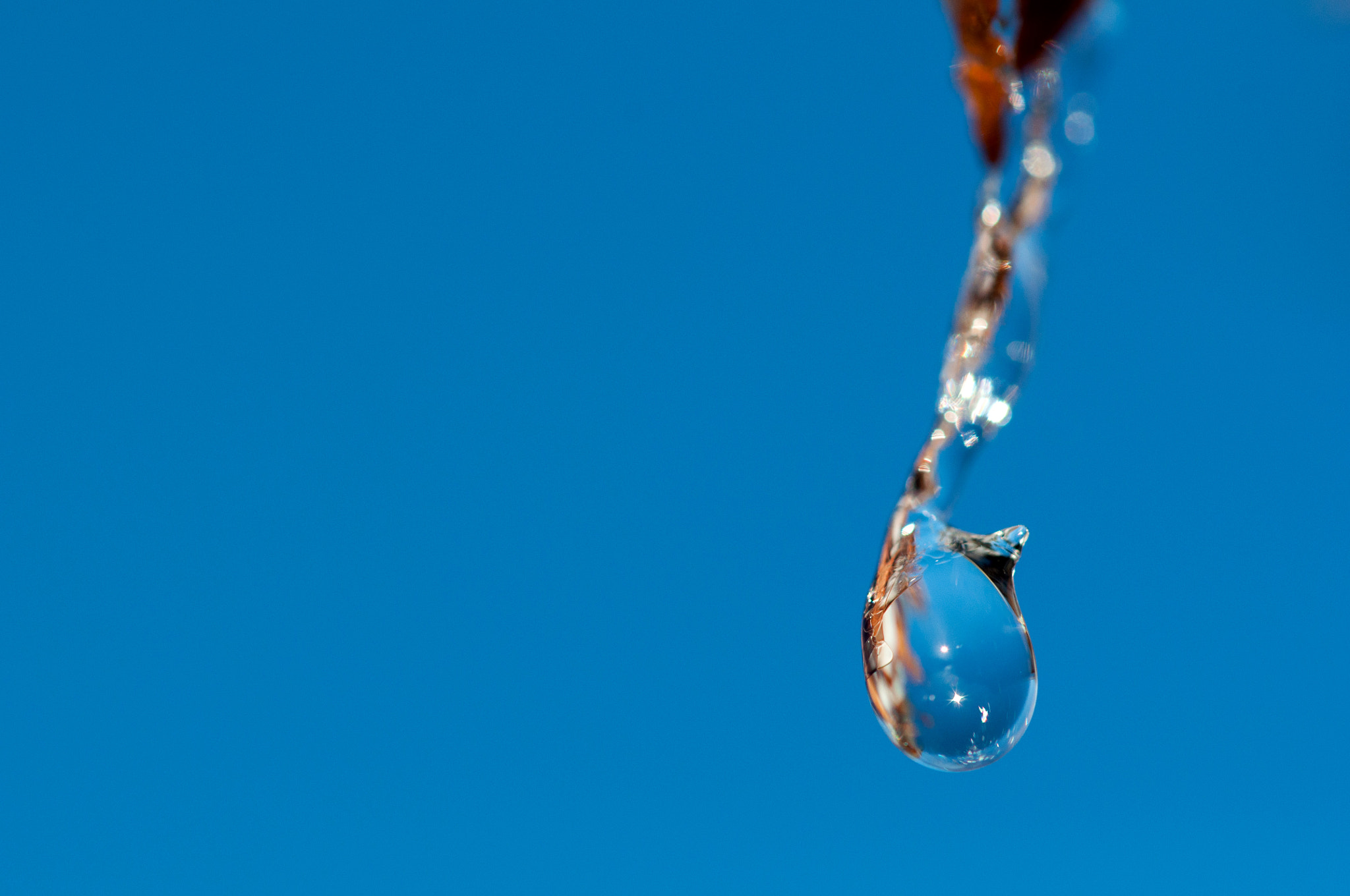 Sigma 105mm F2.8 EX DG OS HSM sample photo. Ice droplet macro photo photography