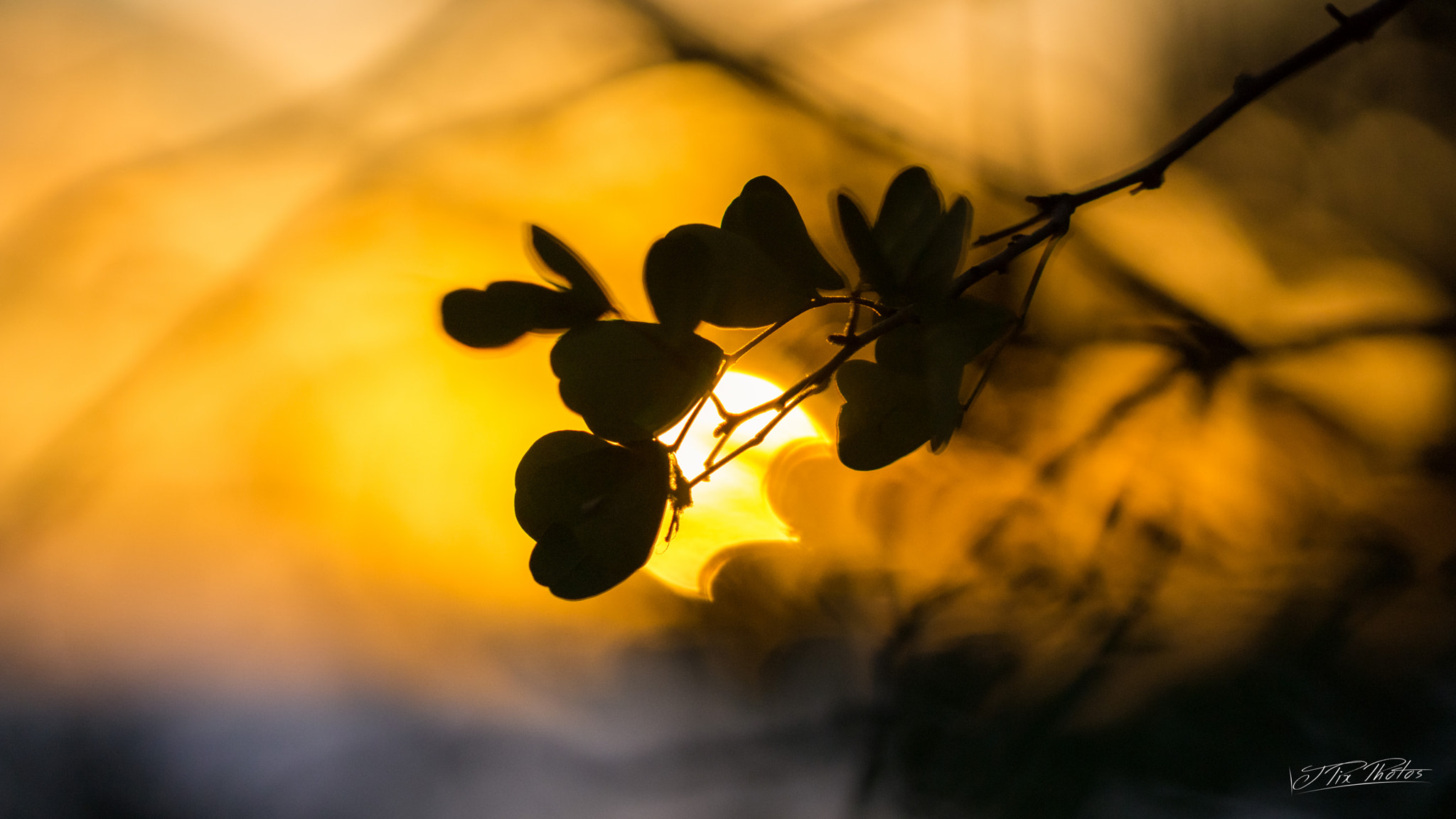 Sony SLT-A77 + 90mm F2.8 Macro SSM sample photo. Jpix sunset photography