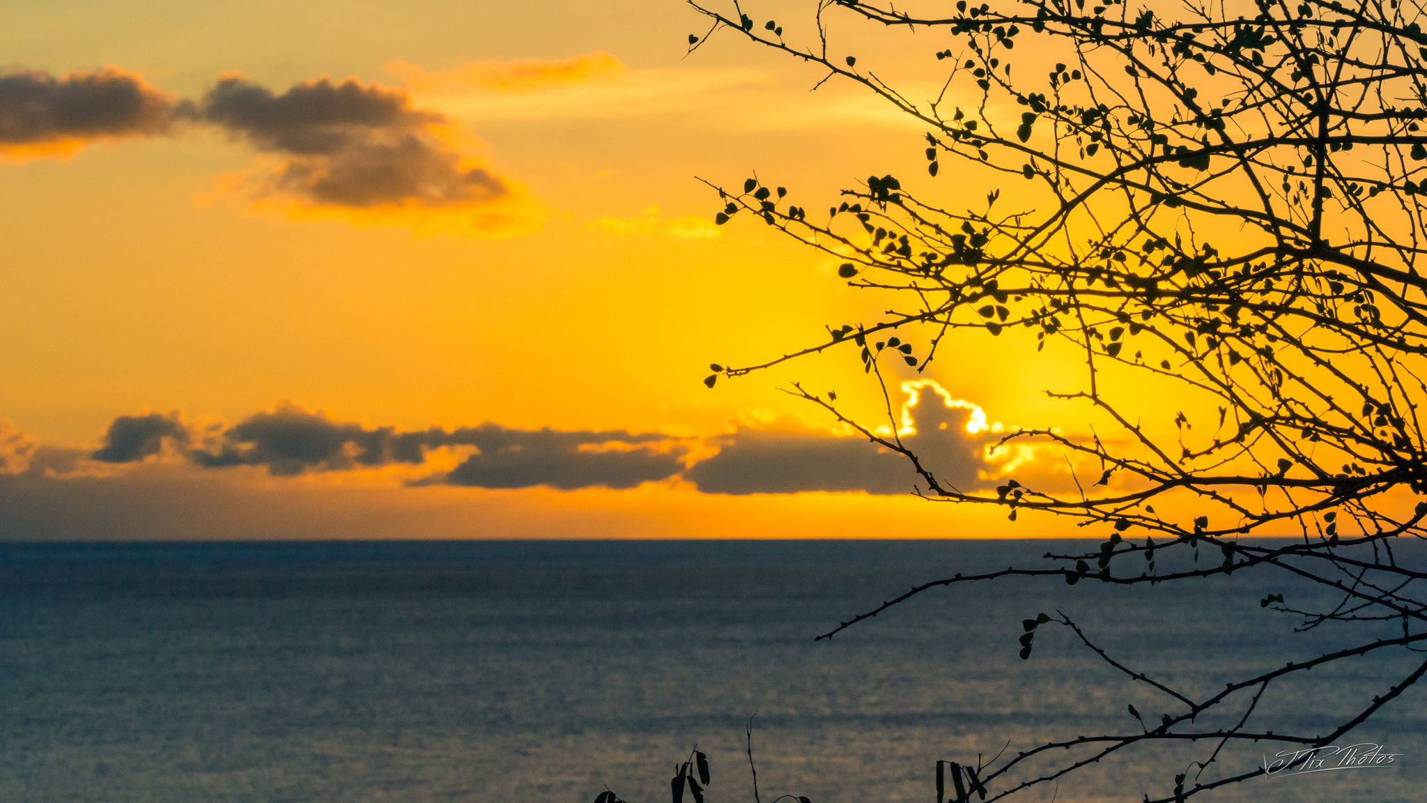 Sony SLT-A77 + 90mm F2.8 Macro SSM sample photo. Jpix sunset photography