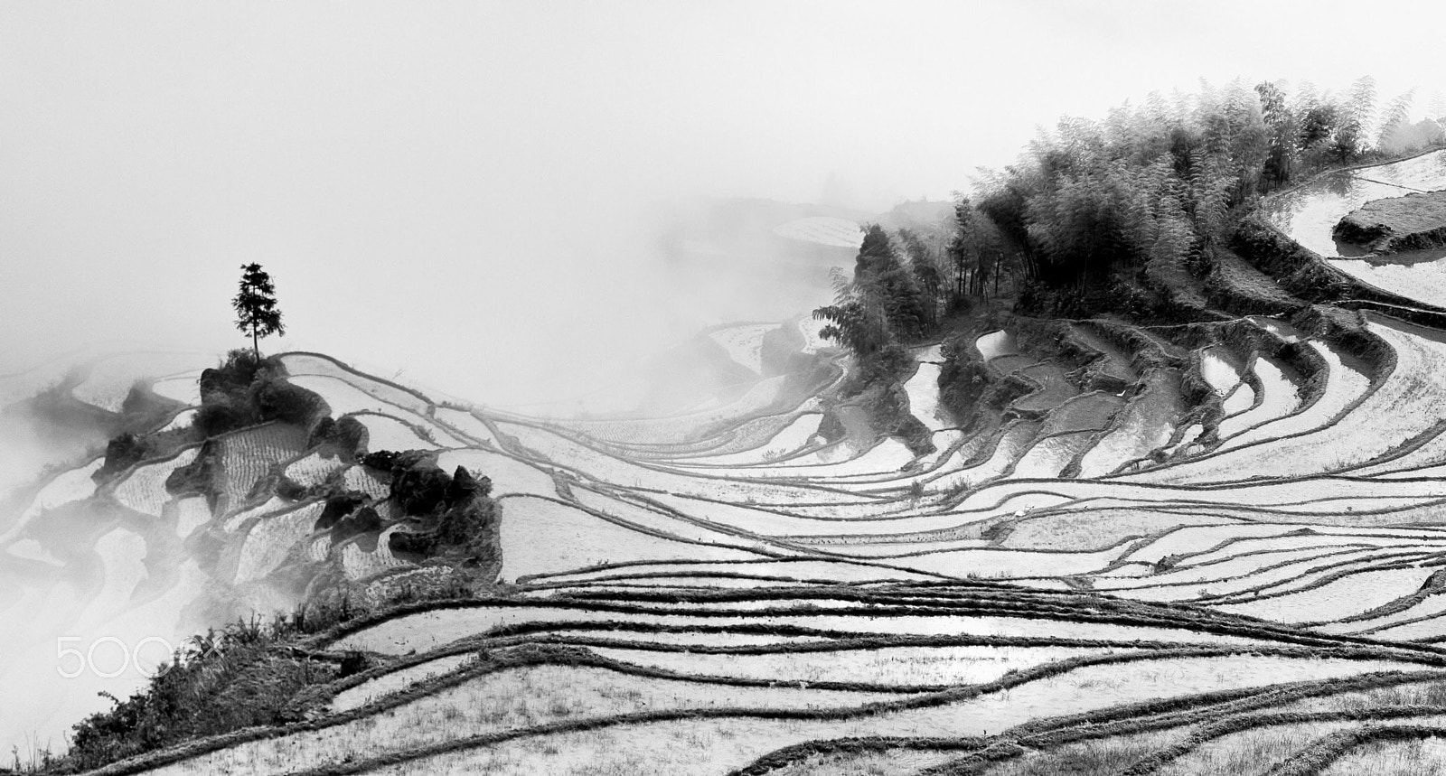 ZEISS Planar T* 50mm F1.4 sample photo. 云和梯田the terraced fields photography