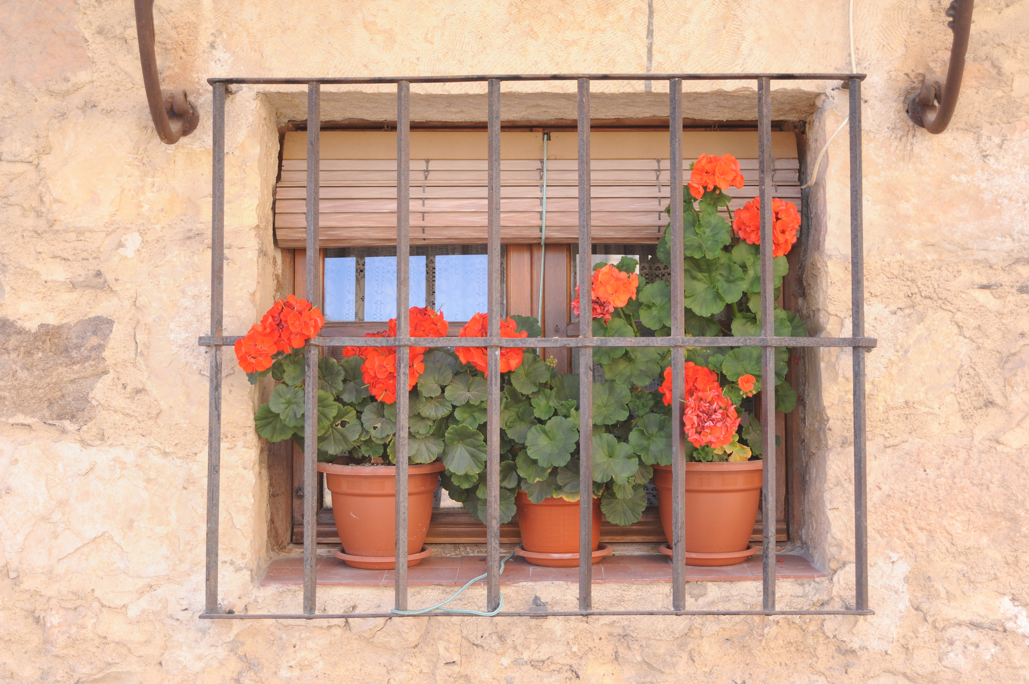 AF Zoom-Nikkor 35-80mm f/4-5.6D N sample photo. Pedraza`s windon photography