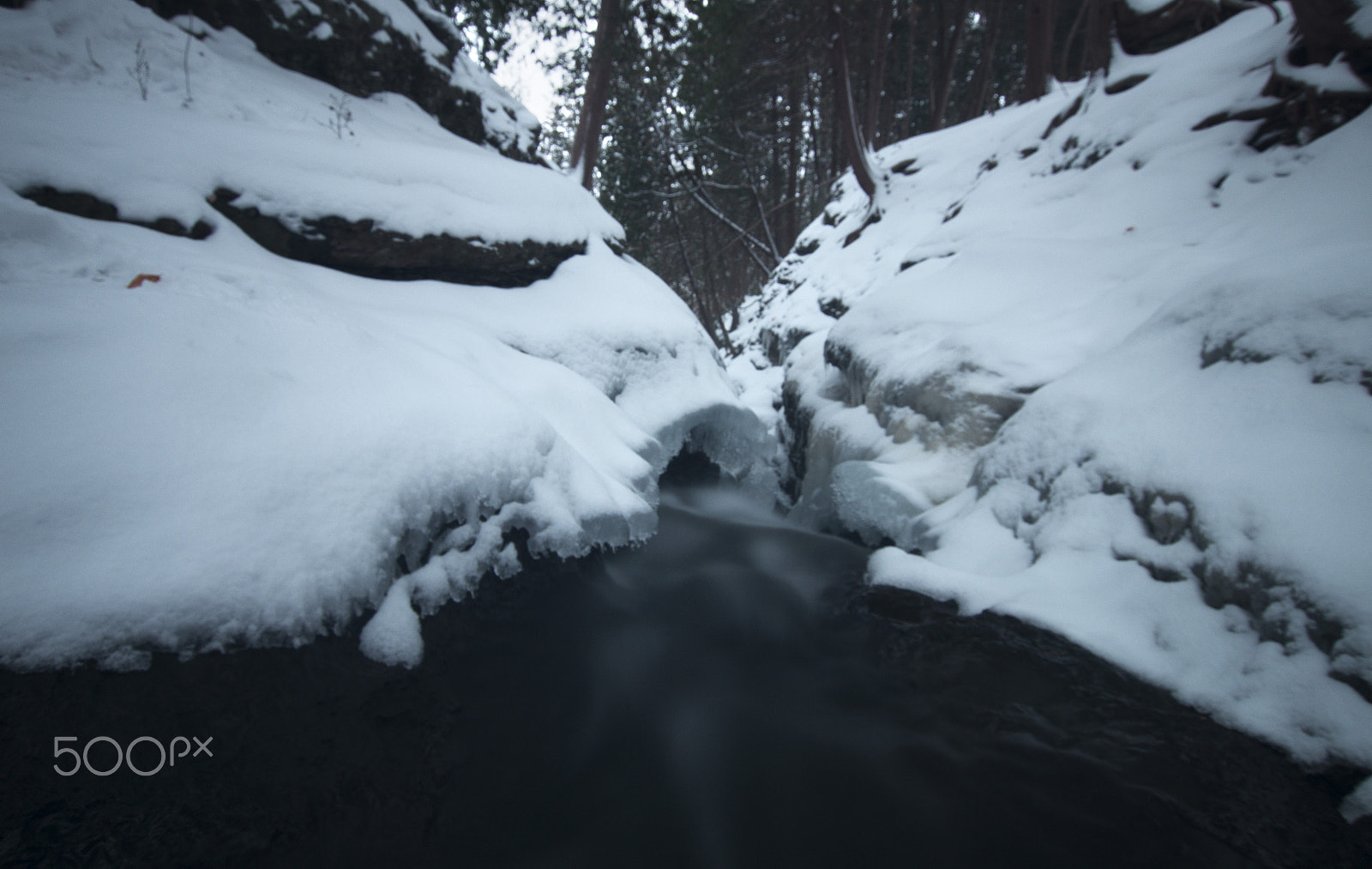 Sony SLT-A58 + Sigma 10-20mm F3.5 EX DC HSM sample photo. Frozen photography