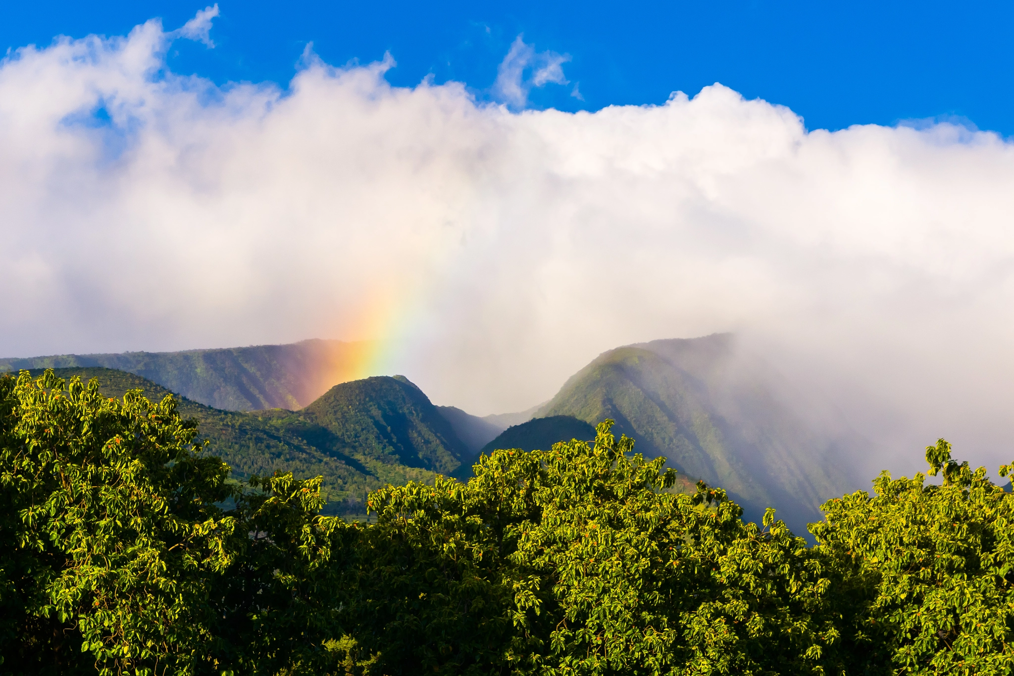 Sony SLT-A65 (SLT-A65V) + Tamron SP 24-70mm F2.8 Di VC USD sample photo. Maui rainbow photography