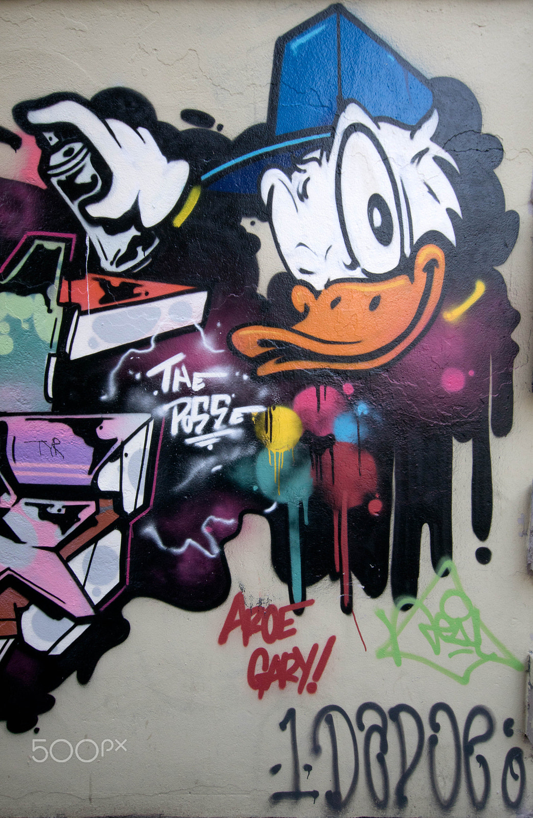 Sony ILCA-77M2 + Sigma 10-20mm F3.5 EX DC HSM sample photo. Donald duck photography