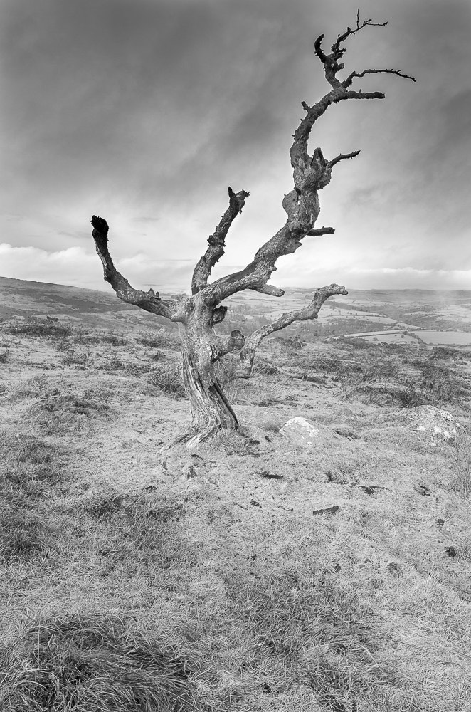 Nikon AF-S Nikkor 16-35mm F4G ED VR sample photo. Dartmoor photography
