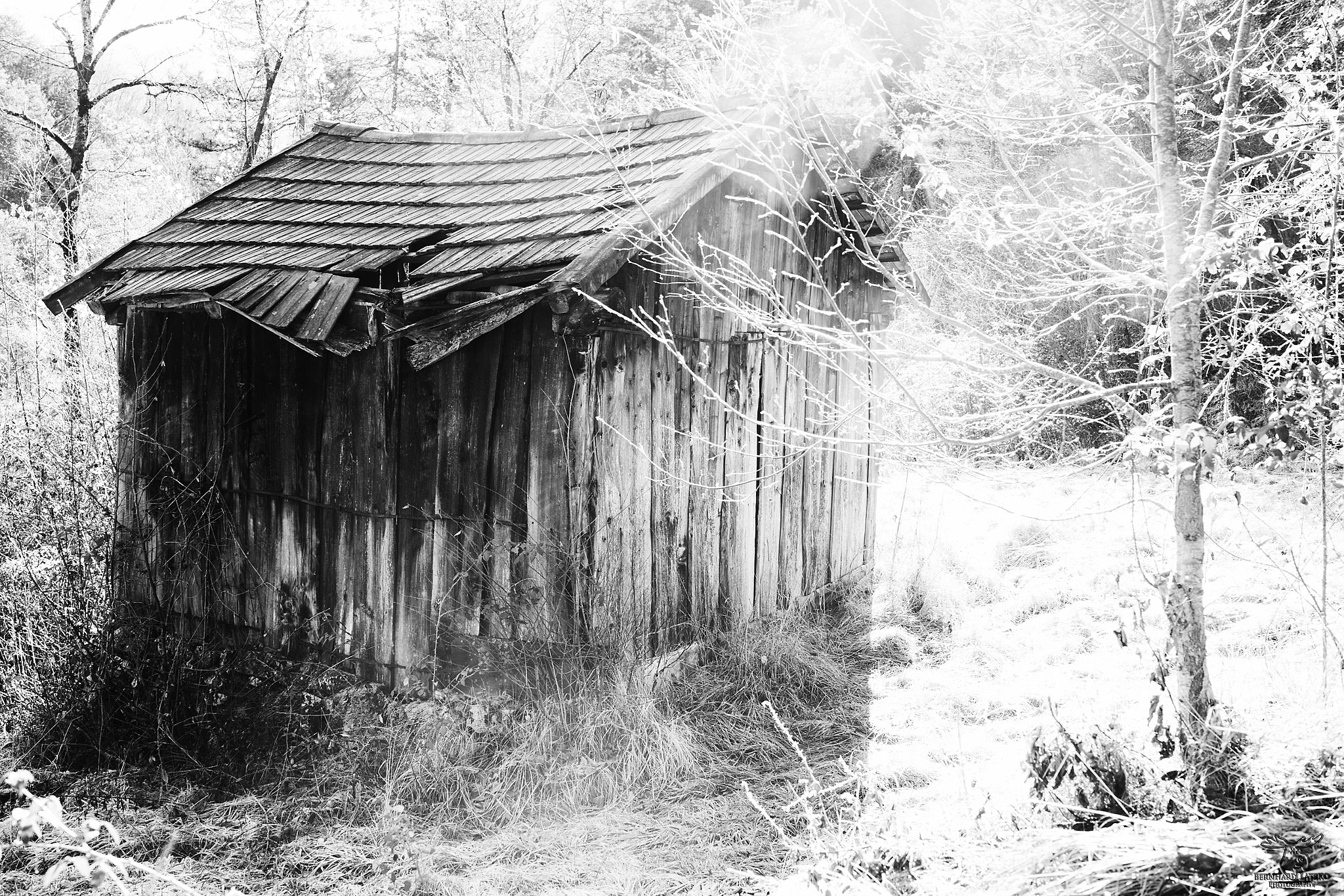 Nikon D800 + Samyang 35mm F1.4 AS UMC sample photo. Abandoned land photography