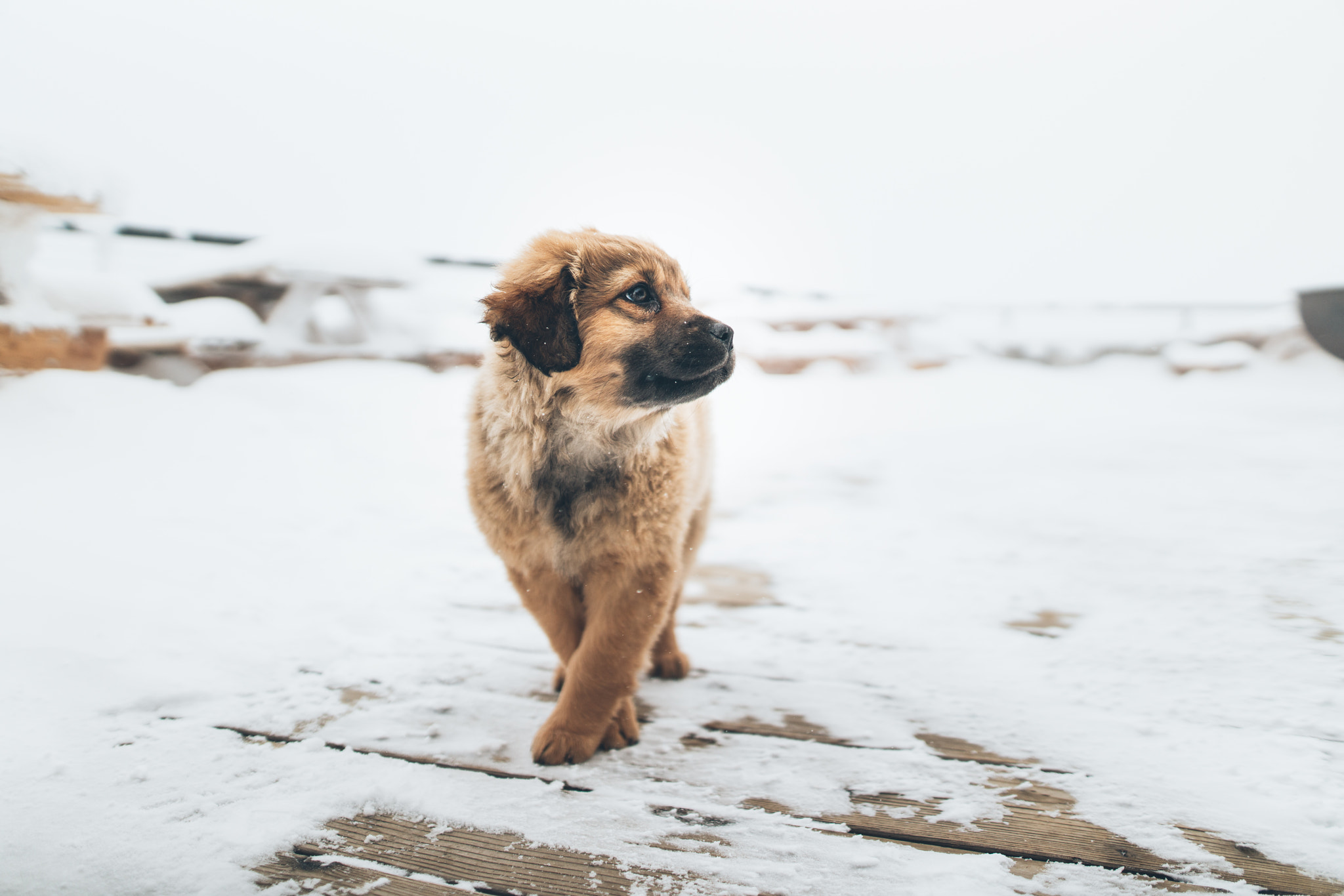 Sony a7R II + Sigma 24mm F1.4 DG HSM Art sample photo. "pose!" photography