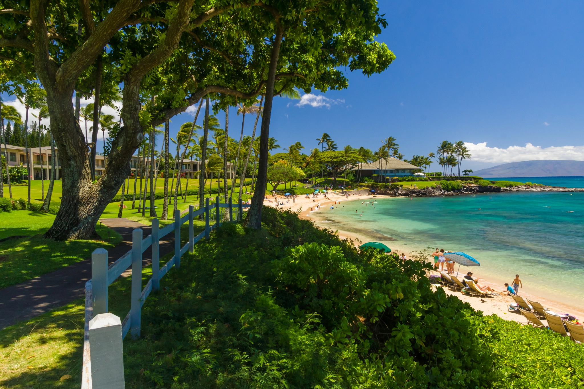 Sony SLT-A65 (SLT-A65V) sample photo. Kapalua bay photography