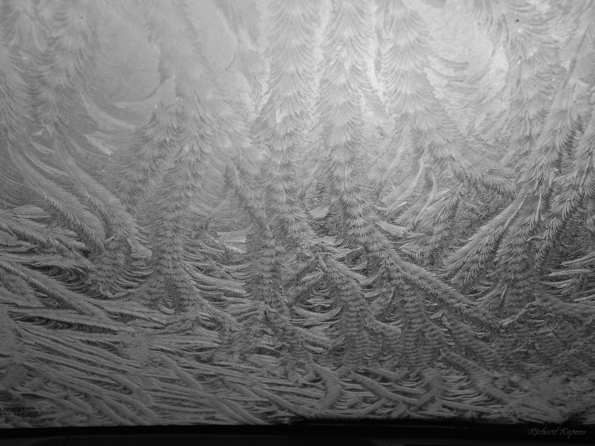 Olympus E-30 sample photo. Frost artist ii photography