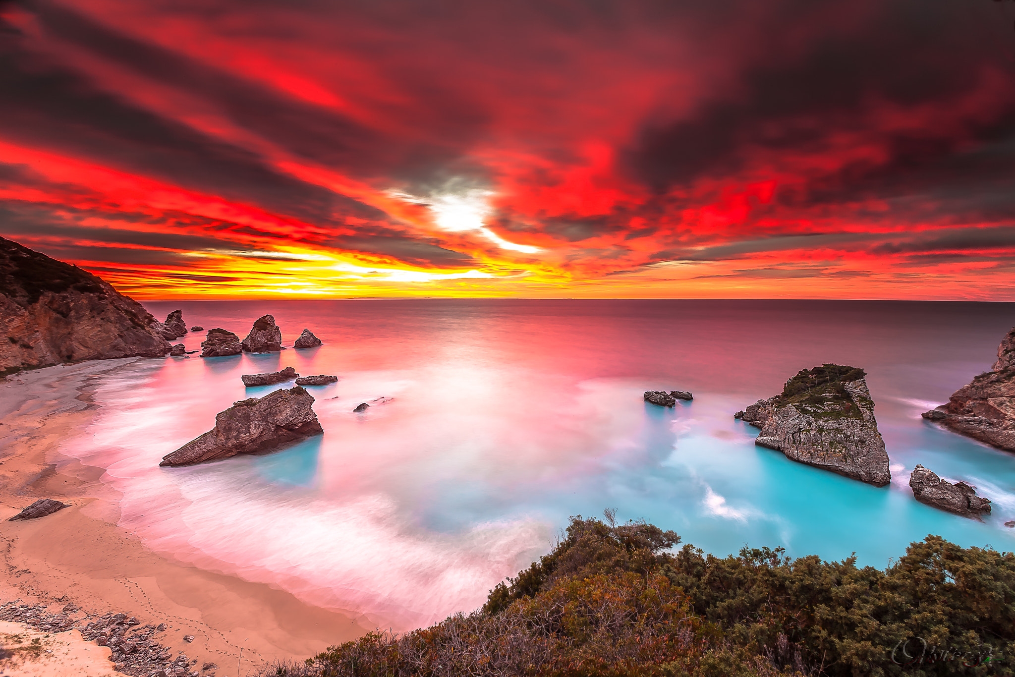 Sigma 10-20mm F3.5 EX DC HSM sample photo. Cavalinho ardente photography