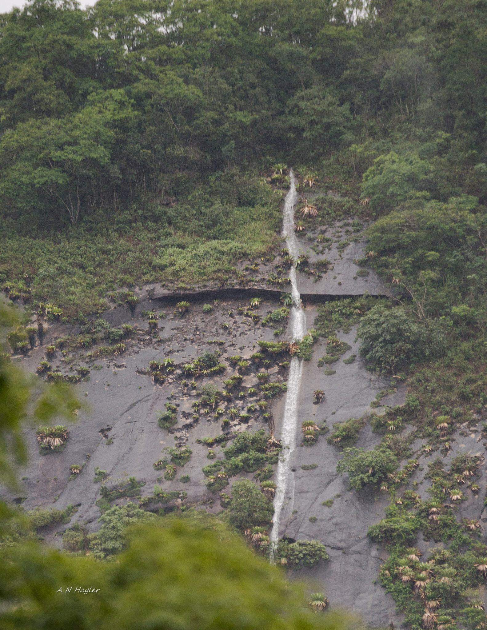 Sony 70-300mm F4.5-5.6 G SSM sample photo. Rain-forest rainstorm runoff photography