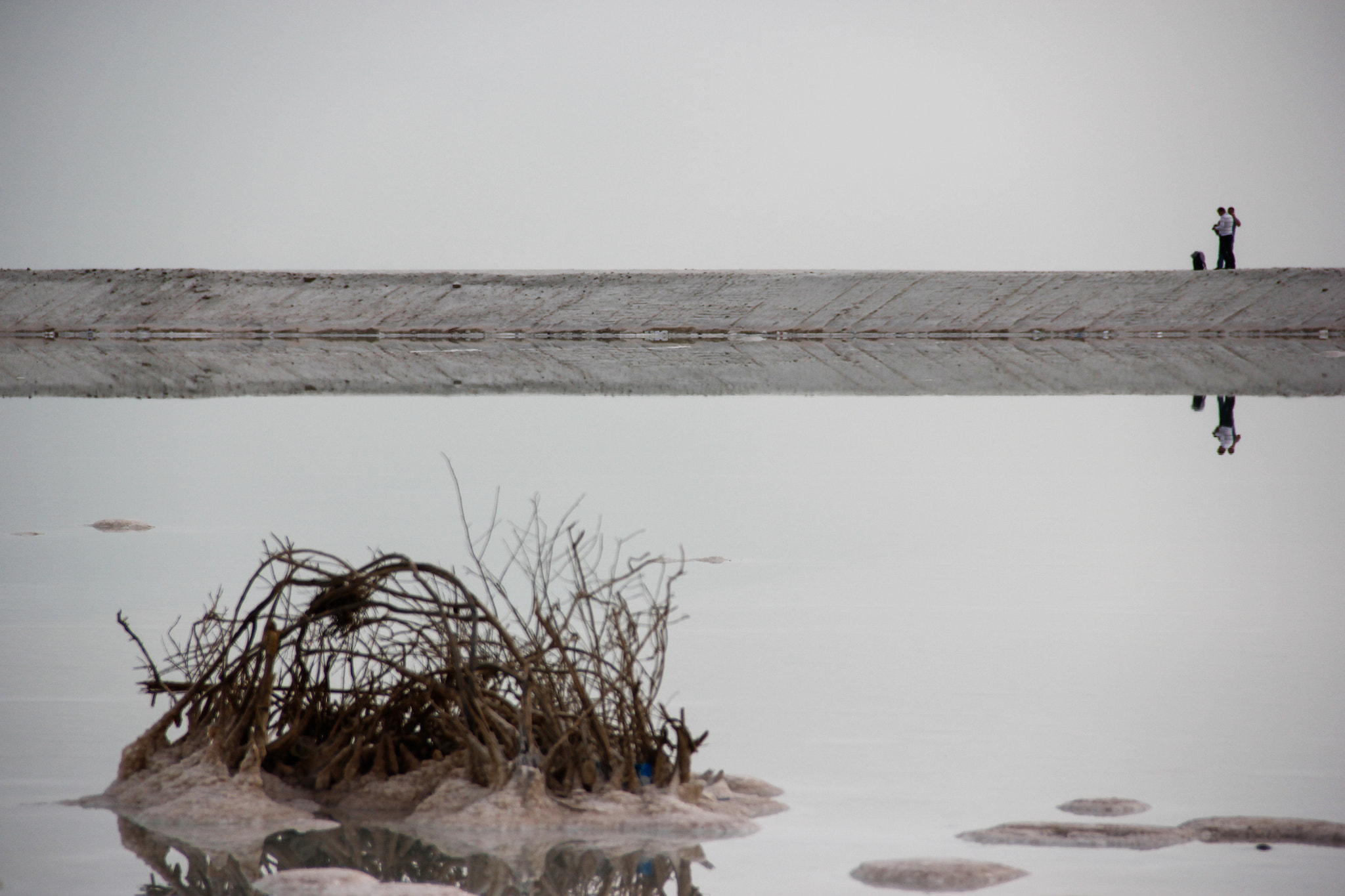 Canon EOS 550D (EOS Rebel T2i / EOS Kiss X4) sample photo. Dead sea life photography