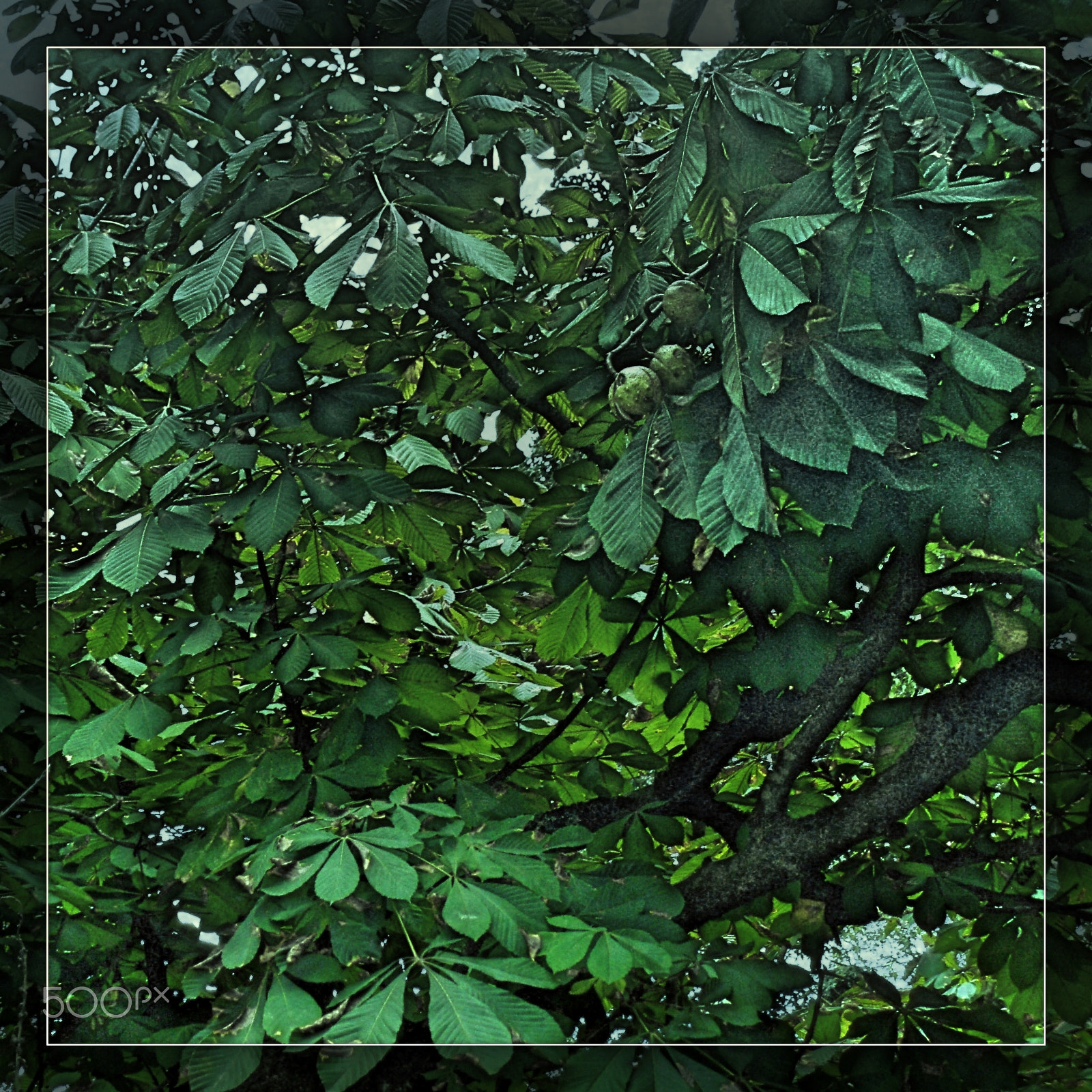 Olympus u760,S760 sample photo. Sintra 2015 photography