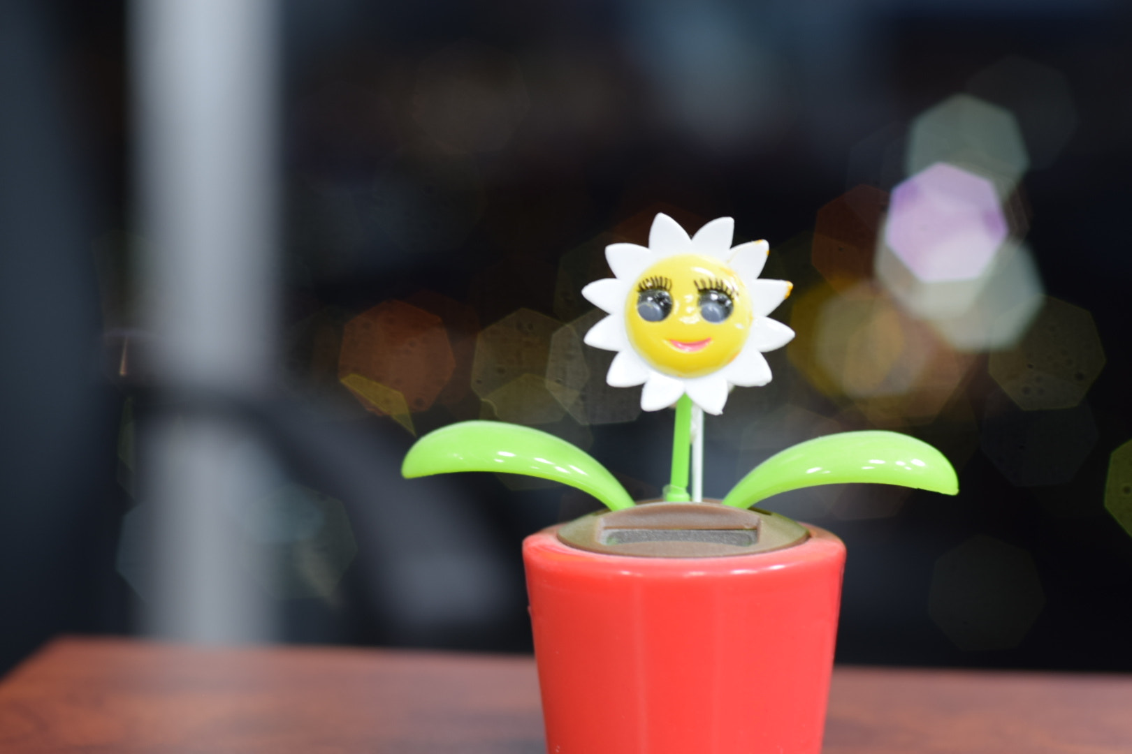 Nikon D5300 + Nikon AF Nikkor 50mm F1.4D sample photo. Planta de jugete photography