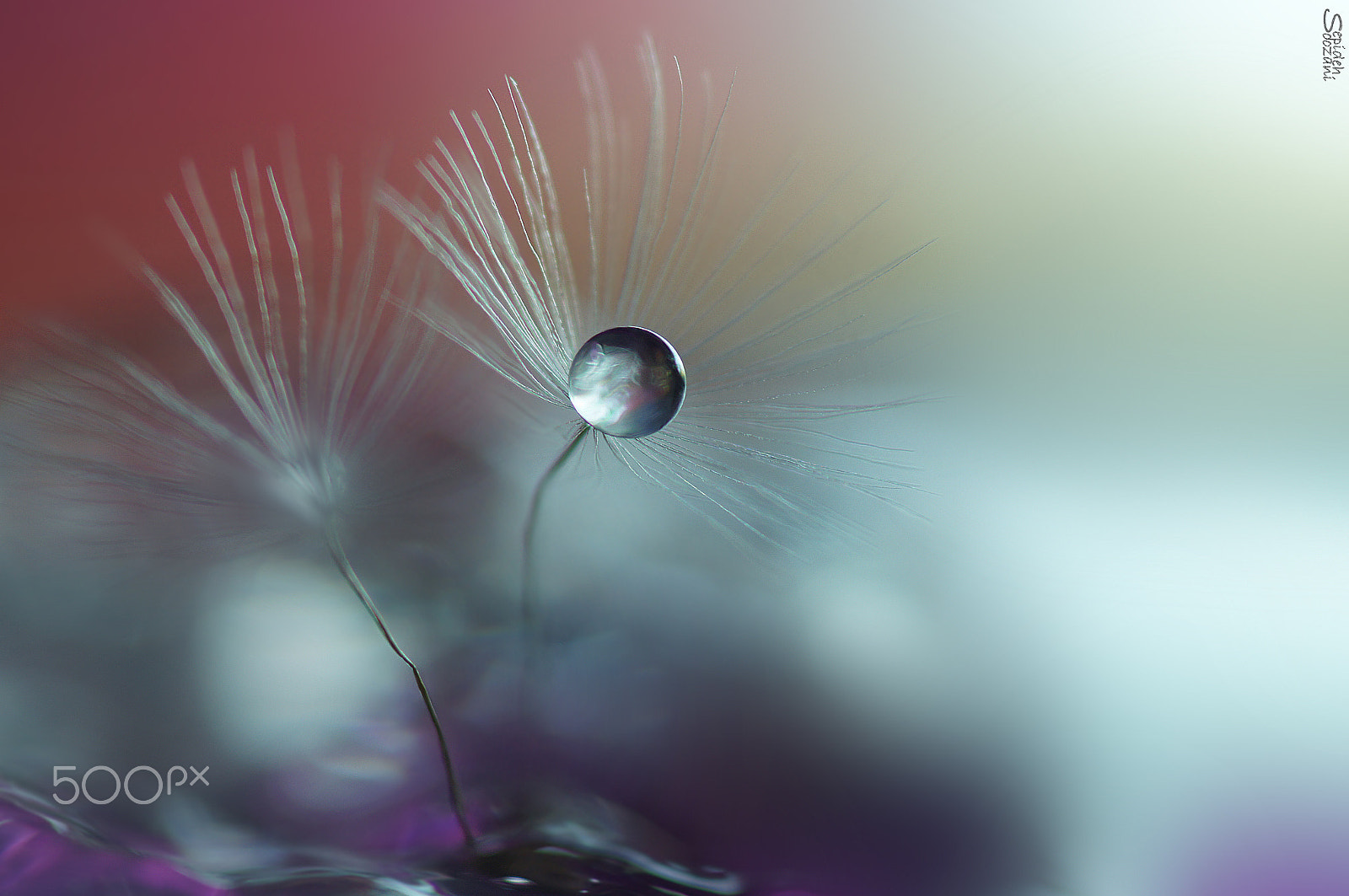 Sony SLT-A35 + Tamron SP AF 90mm F2.8 Di Macro sample photo. Chocolate drop photography