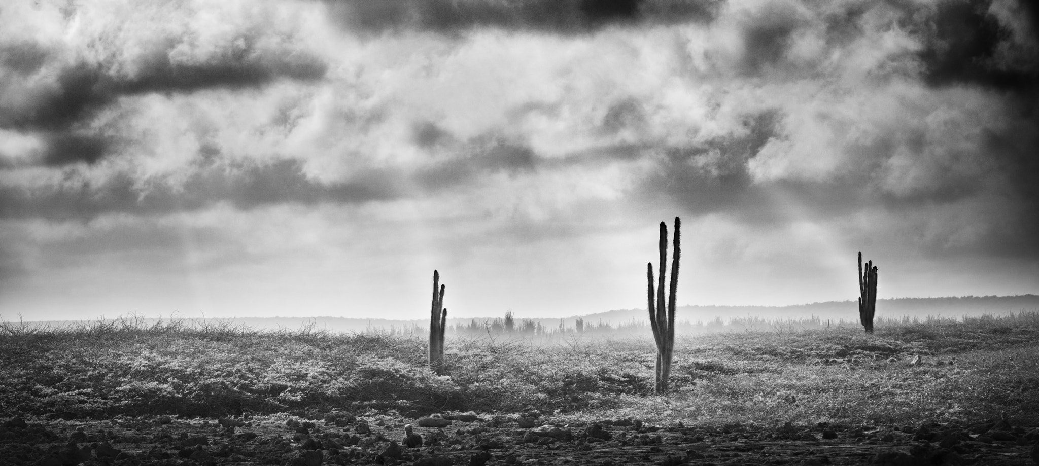 Sigma 150mm F2.8 EX DG Macro HSM sample photo. Desert horizon #3 photography