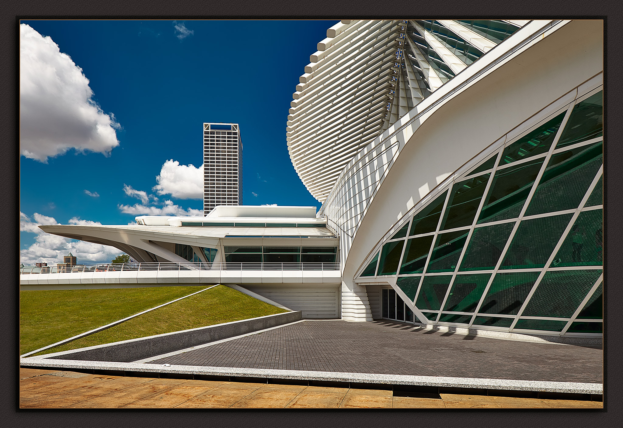 Canon TS-E 24mm F3.5L II Tilt-Shift sample photo. Tangled angles photography