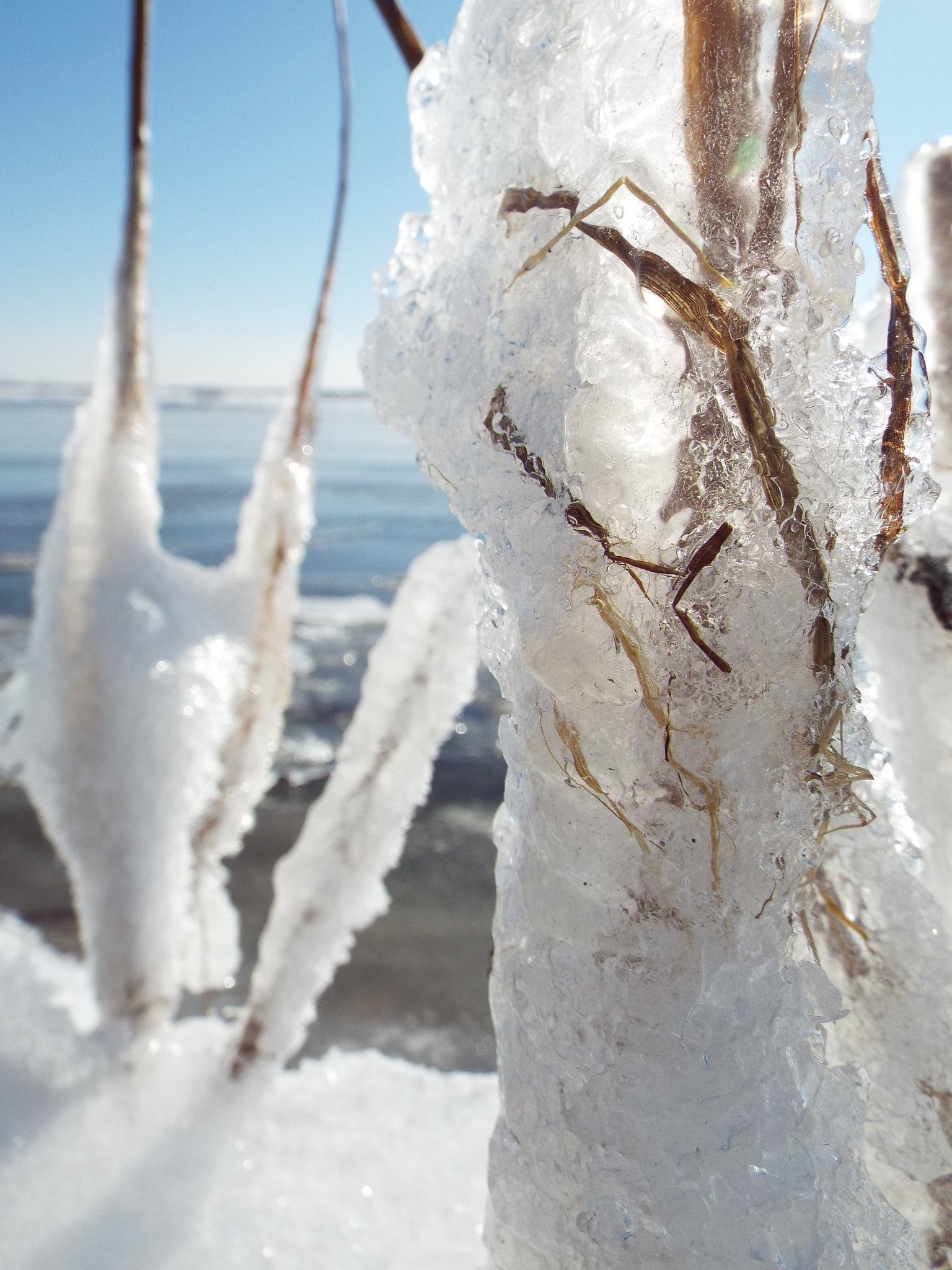 Fujifilm FinePix S8400 sample photo. Winter vibes photography