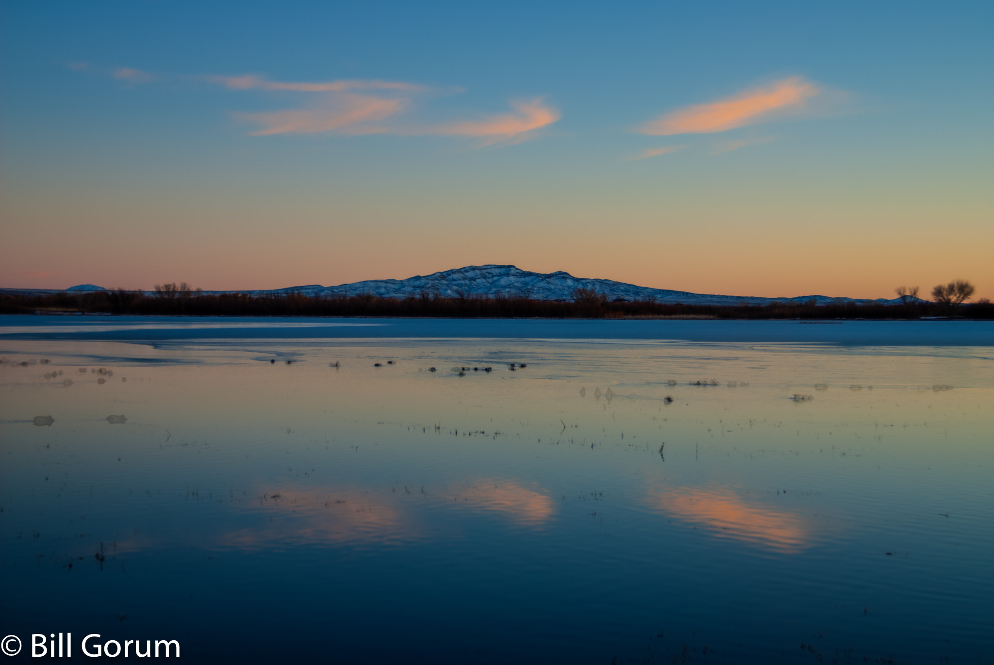 Nikon D200 sample photo. Dusk over a marsh at bosque del awr, new mexico. photography