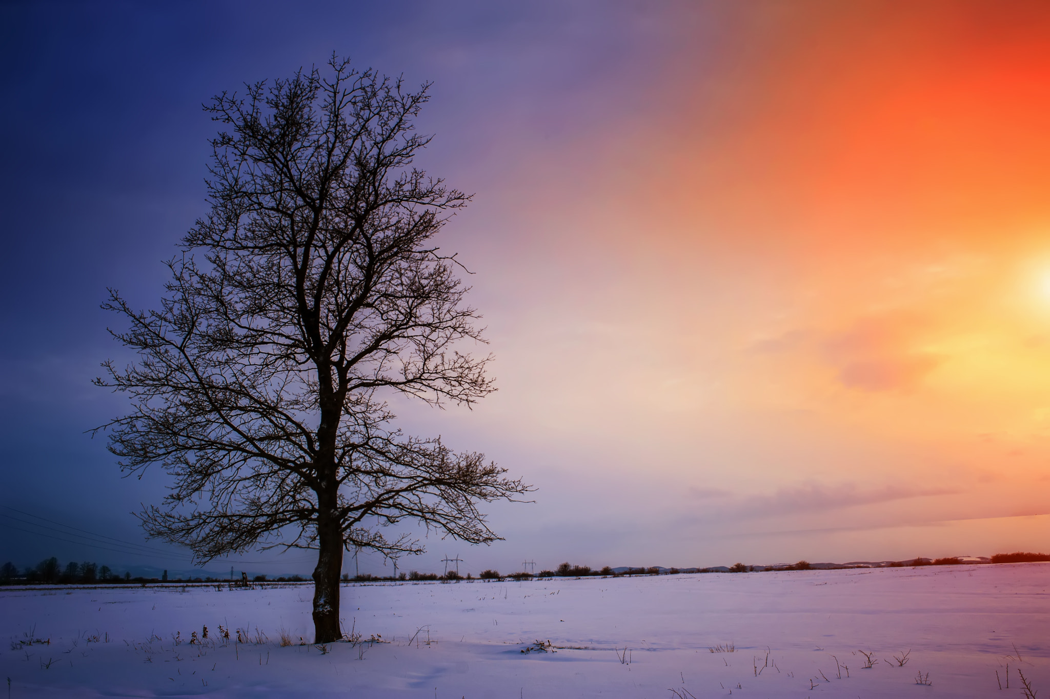 Nikon D700 + AF Nikkor 35mm f/2 sample photo. Winter photography