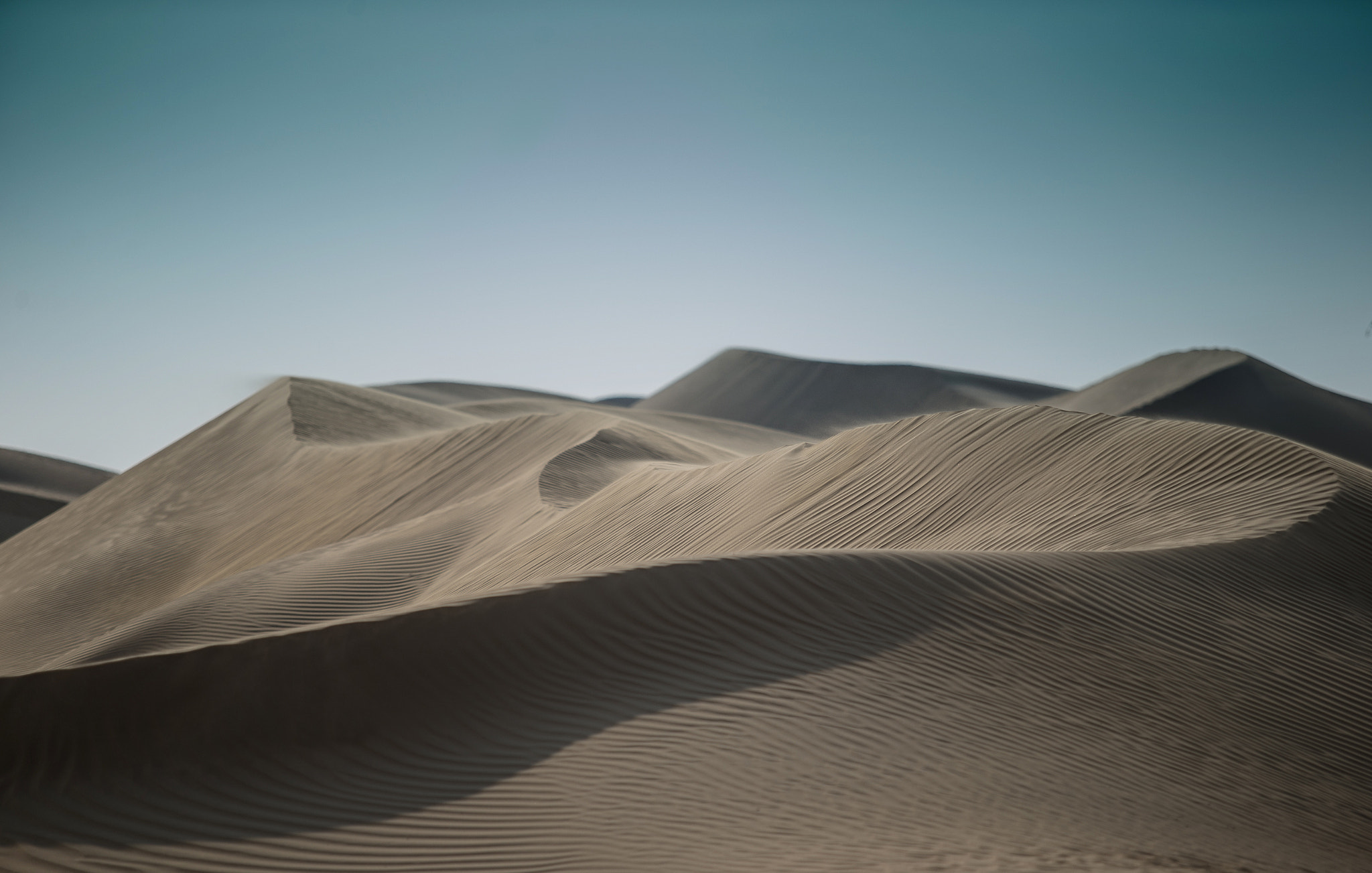 Canon EOS-1D C sample photo. Dubai dunes photography