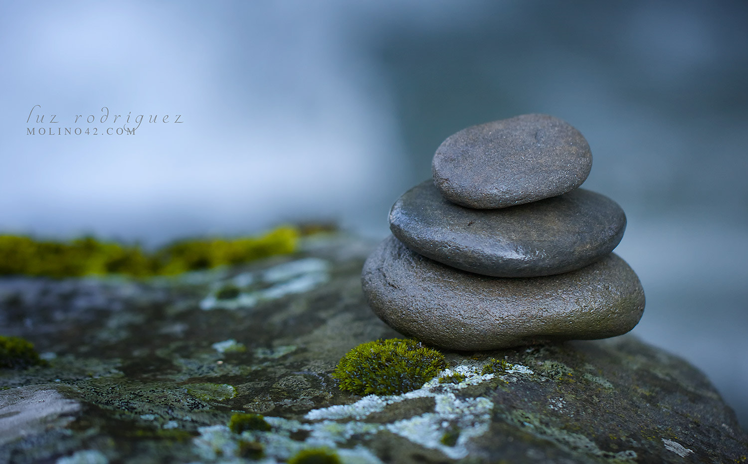 Canon EOS 40D + Canon EF 100mm F2.8L Macro IS USM sample photo. Equilibrio photography
