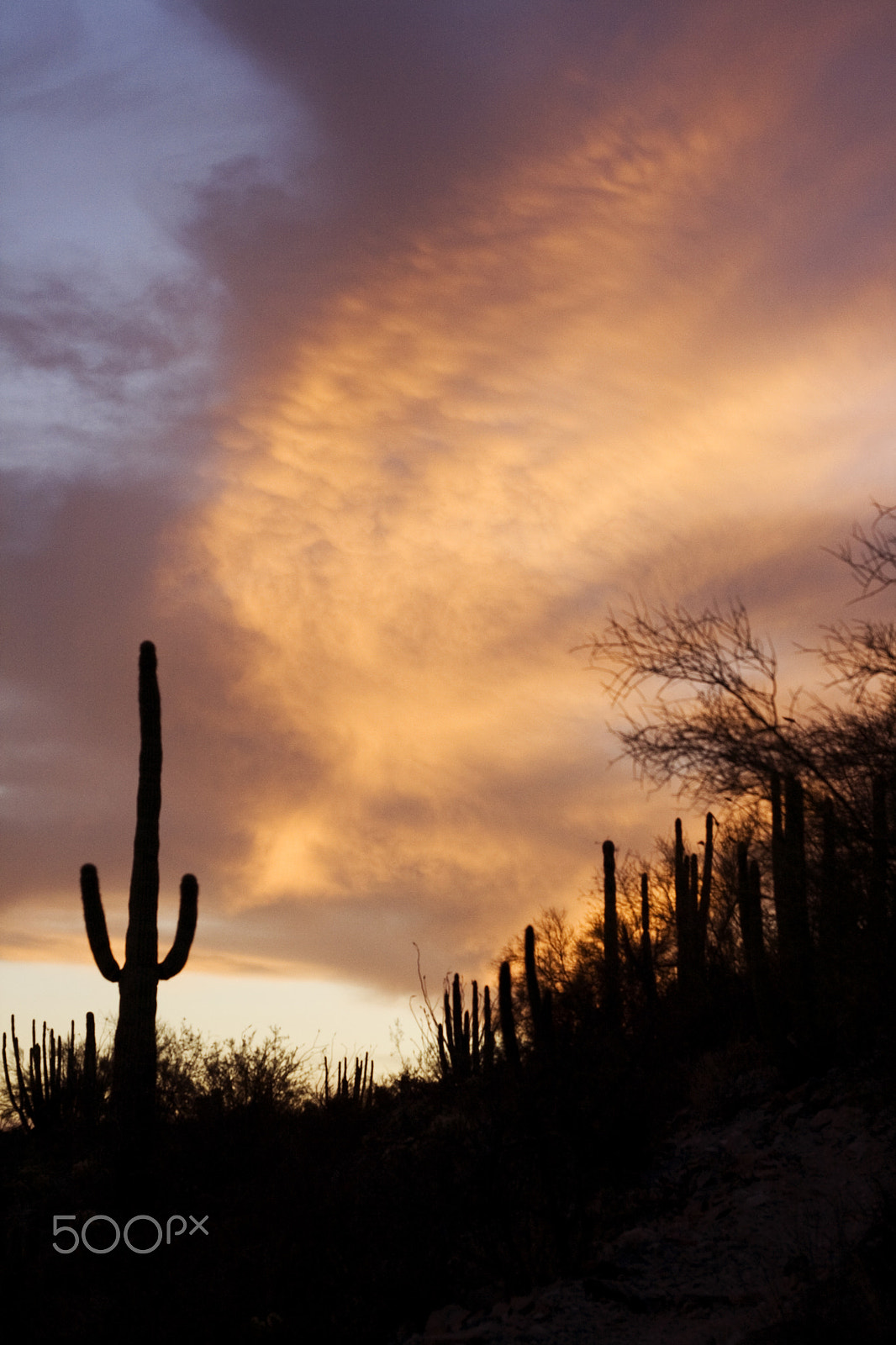Canon EOS 400D (EOS Digital Rebel XTi / EOS Kiss Digital X) + Canon EF 50mm f/1.8 sample photo. Arizona sunset photography