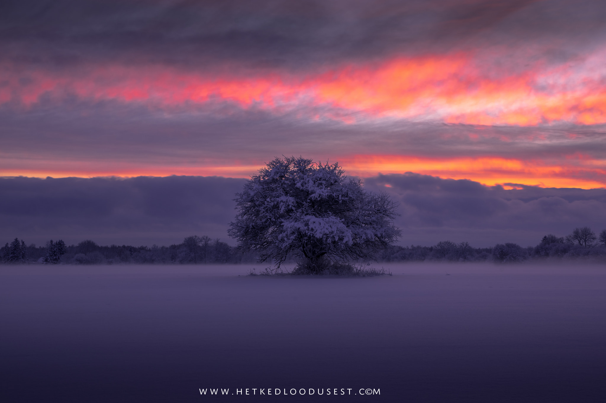 Pentax K-3 II sample photo. Alone in the fog photography