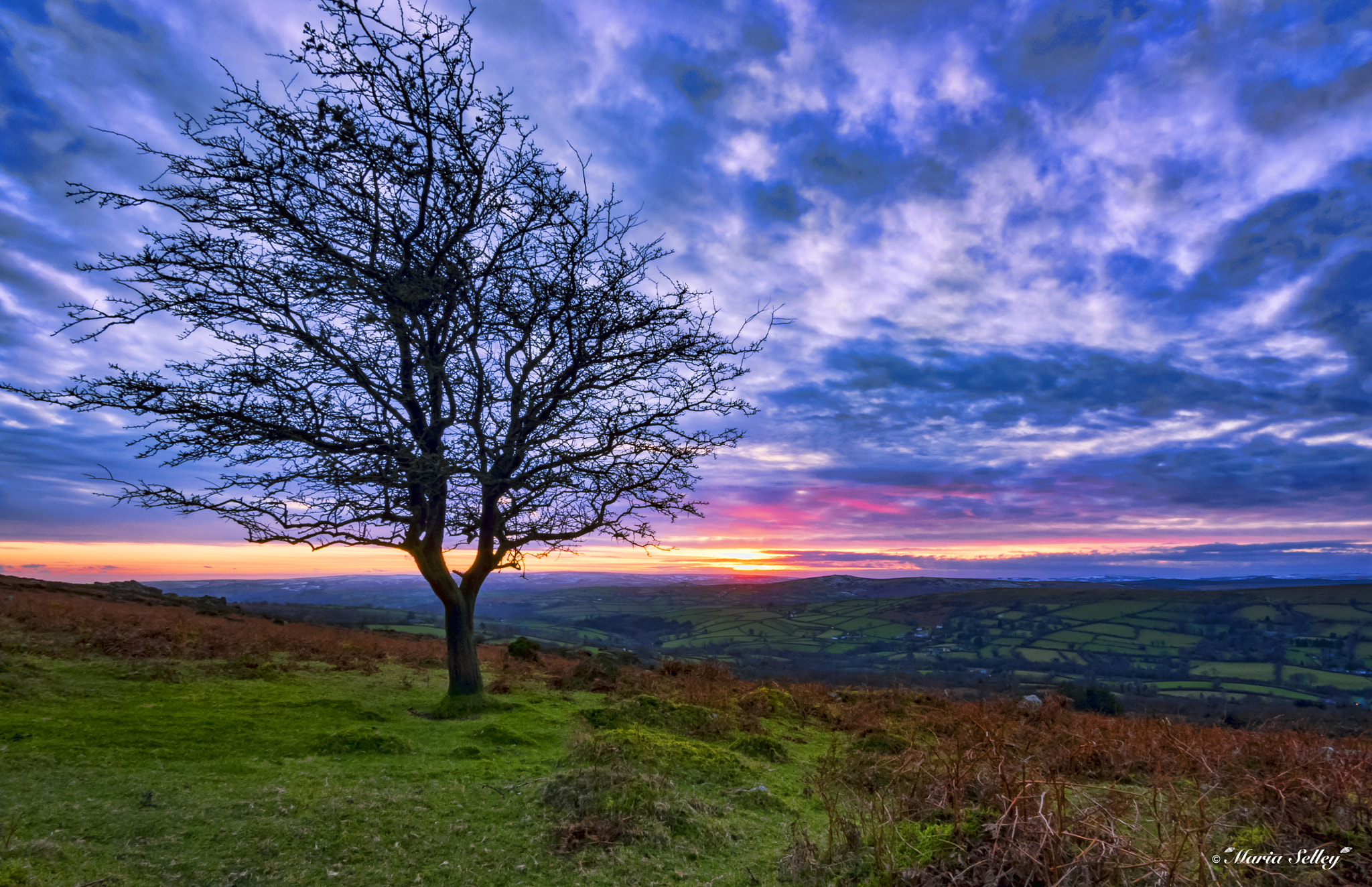 Panasonic Lumix G Vario 7-14mm F4 ASPH sample photo. Colourful evening photography