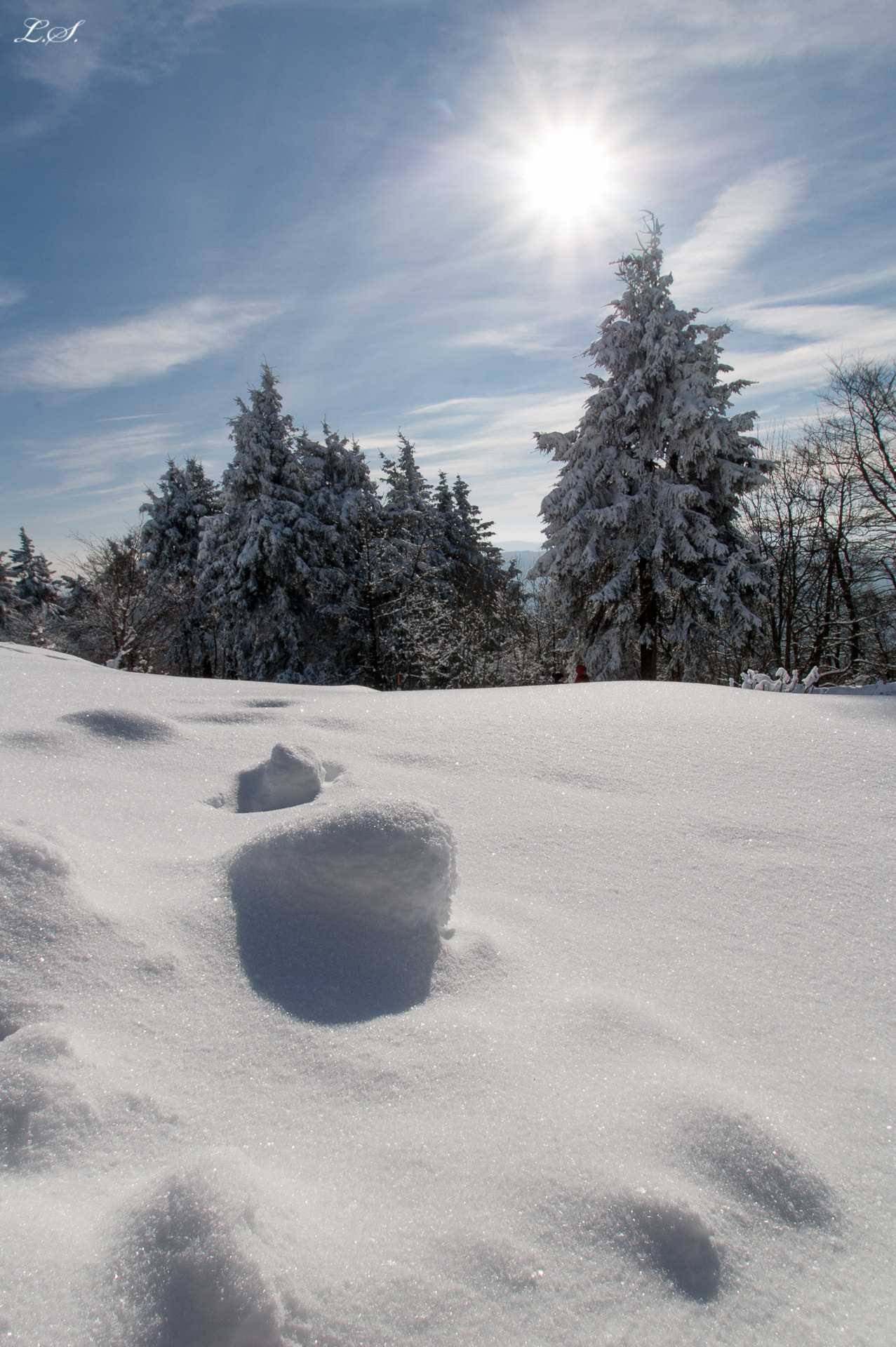 Nikon D50 sample photo. Wintersonne photography