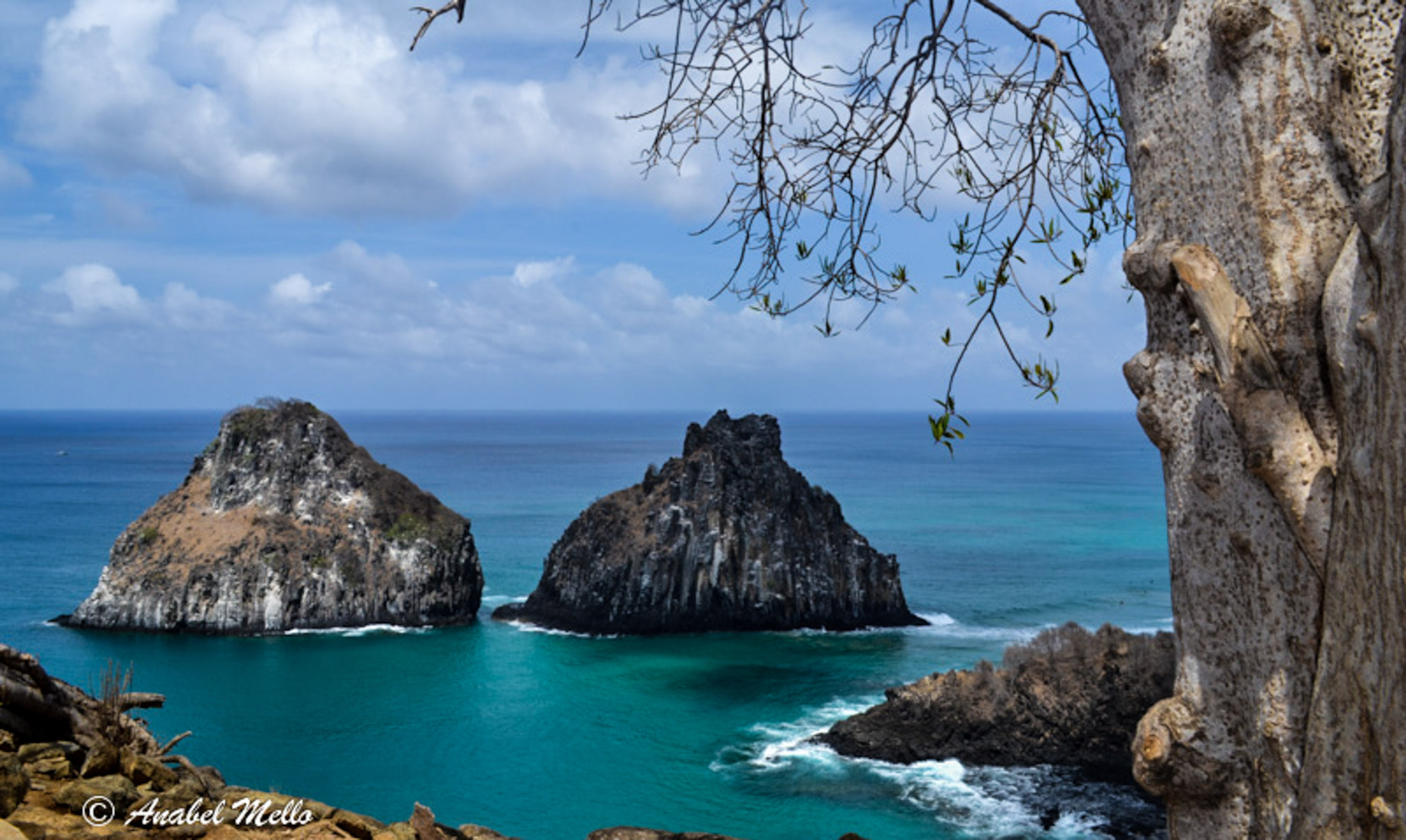 Nikon D3100 + Sigma 10mm F2.8 EX DC HSM Diagonal Fisheye sample photo. Fernando de noronha, pe, brazil photography