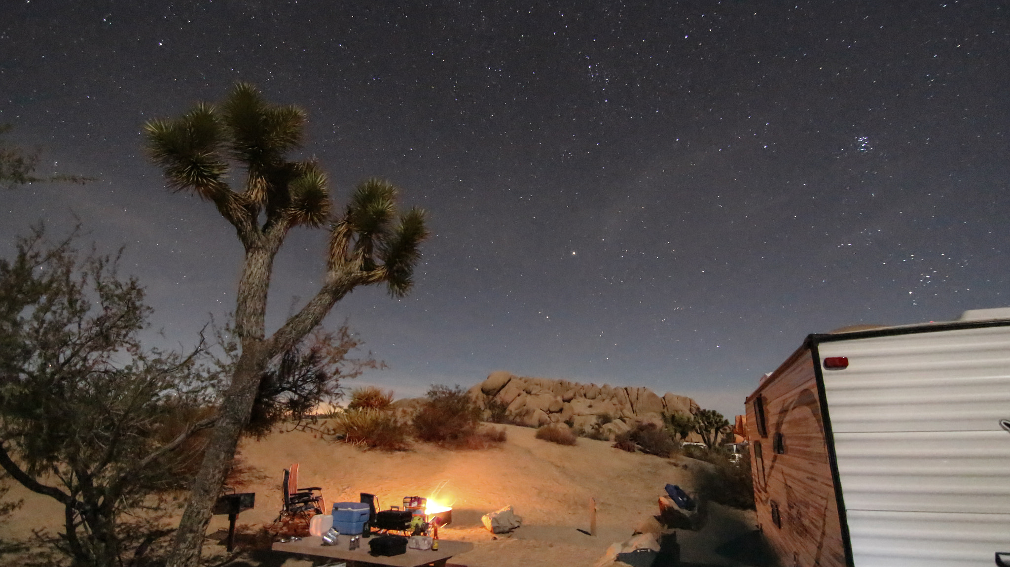 Canon EOS 100D (EOS Rebel SL1 / EOS Kiss X7) + Tokina AT-X Pro 11-16mm F2.8 DX sample photo. Joshua tree by rich knitter photography