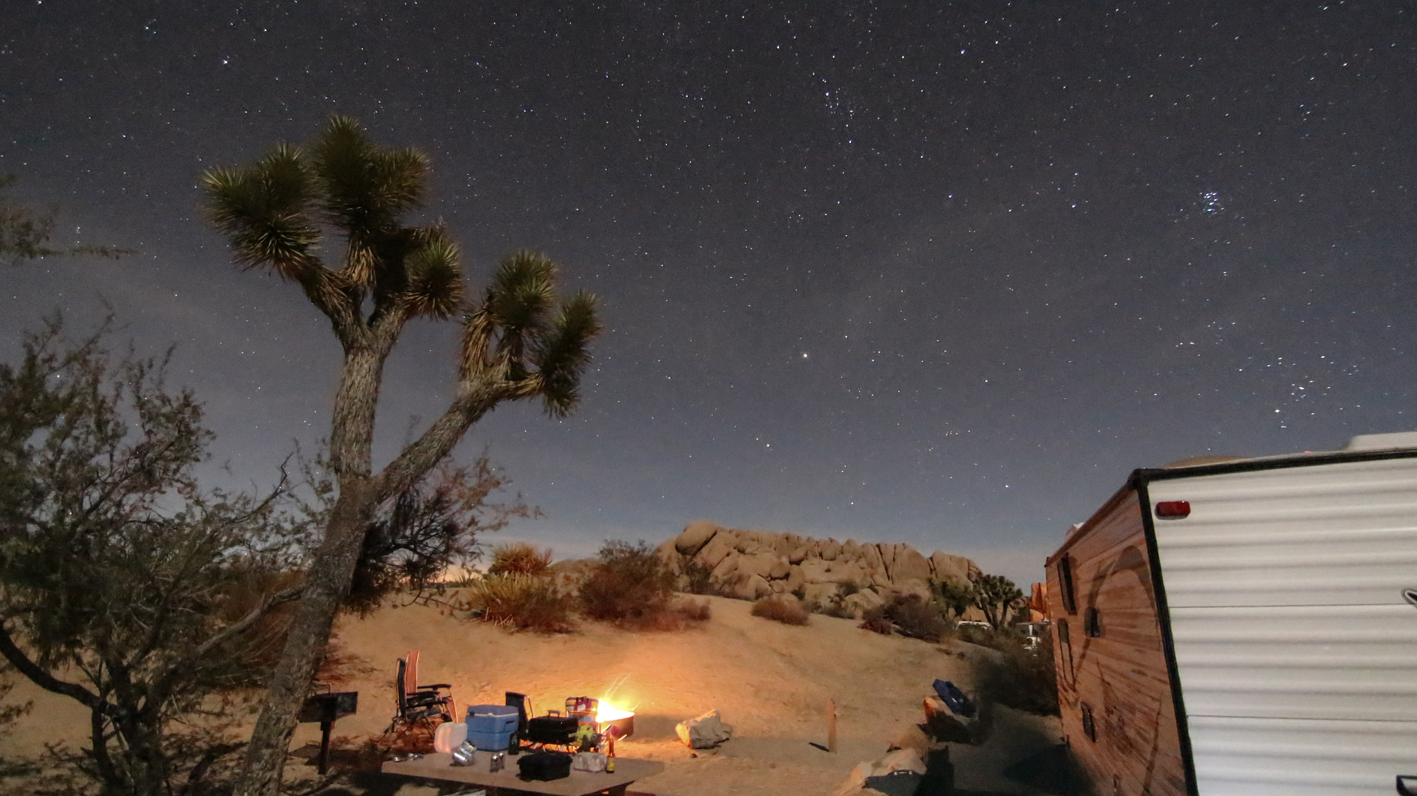 Canon EOS 100D (EOS Rebel SL1 / EOS Kiss X7) sample photo. Joshua tree by rich knitter photography