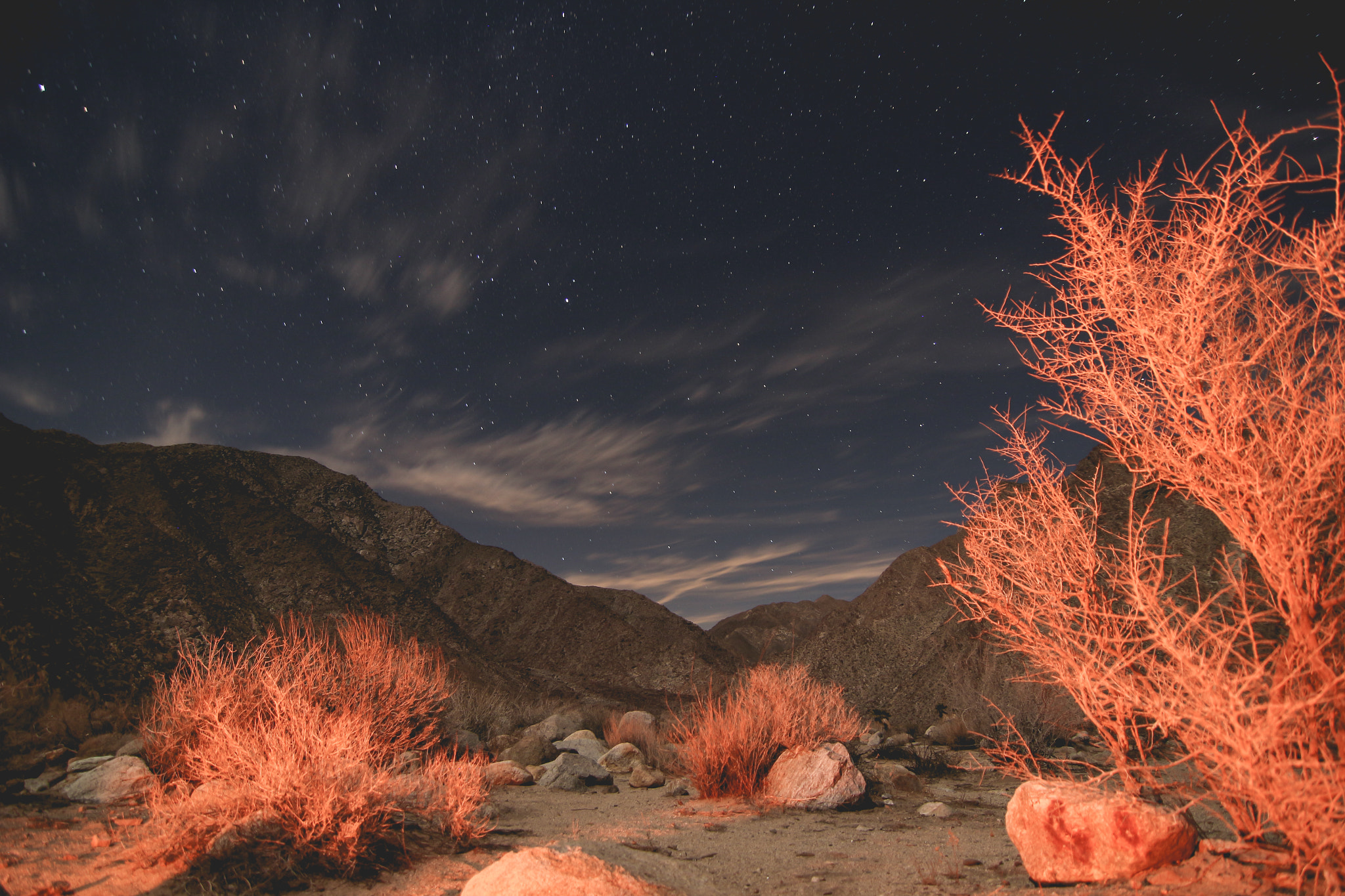 Canon EOS 100D (EOS Rebel SL1 / EOS Kiss X7) sample photo. Borrego by rich knitter photography