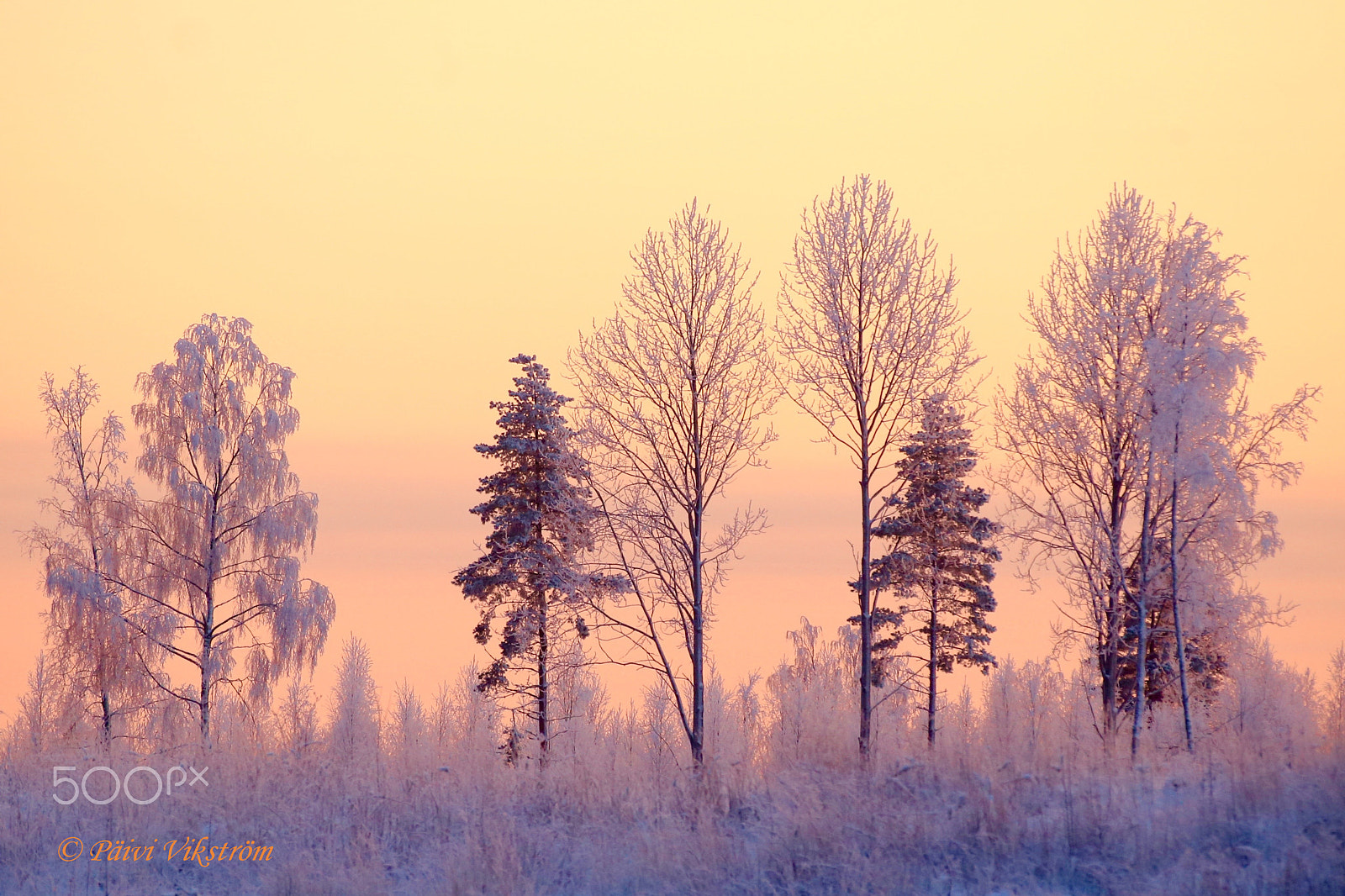 Canon EOS 6D + Canon 70-300mm sample photo. Winter sunset photography