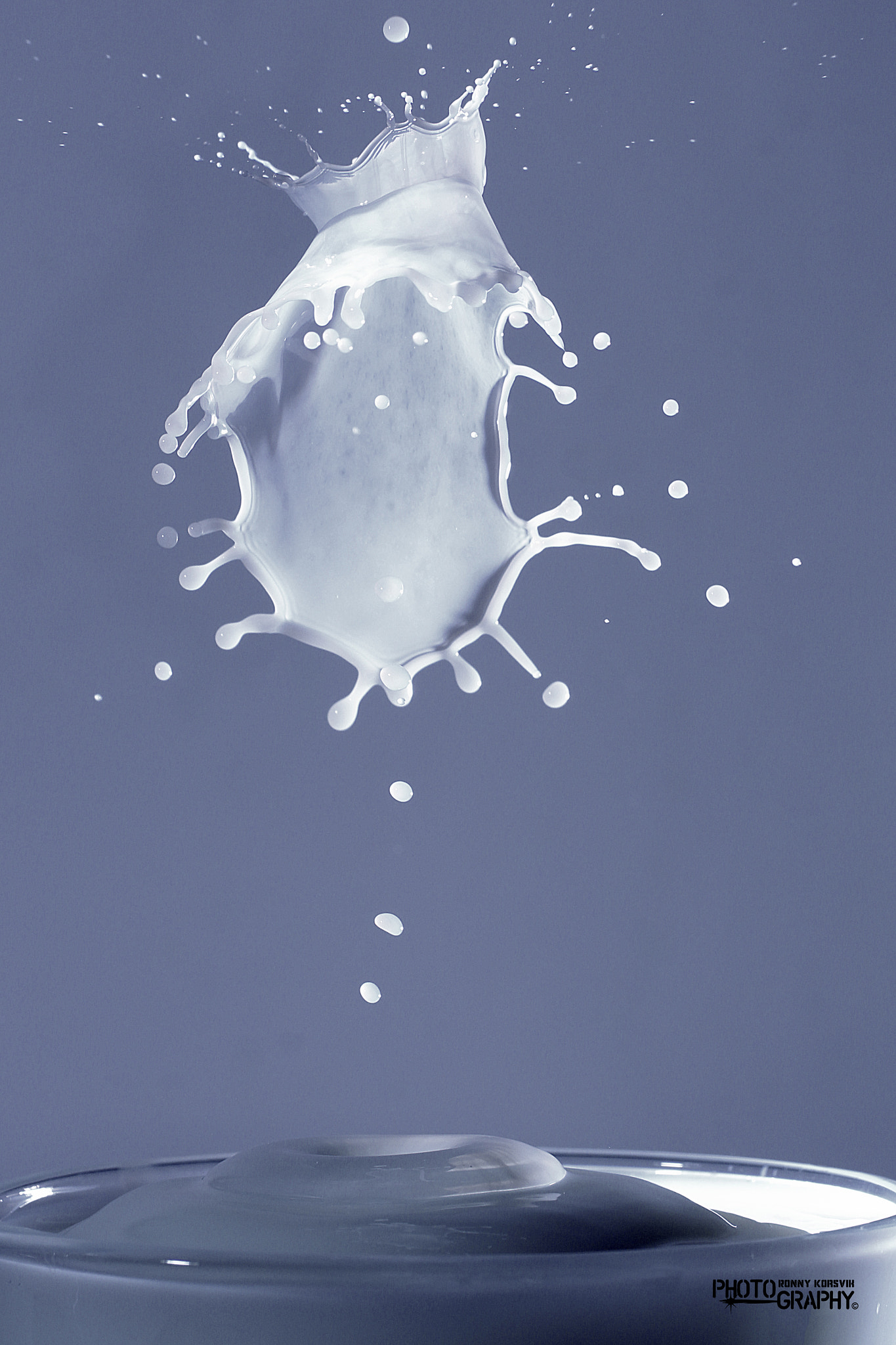 Sigma 70-300mm F4-5.6 APO DG Macro sample photo. Milk splash photography