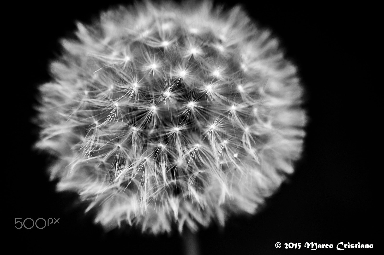 Nikon AF-S DX Micro-Nikkor 85mm F3.5G ED VR sample photo. Leggerezza... photography