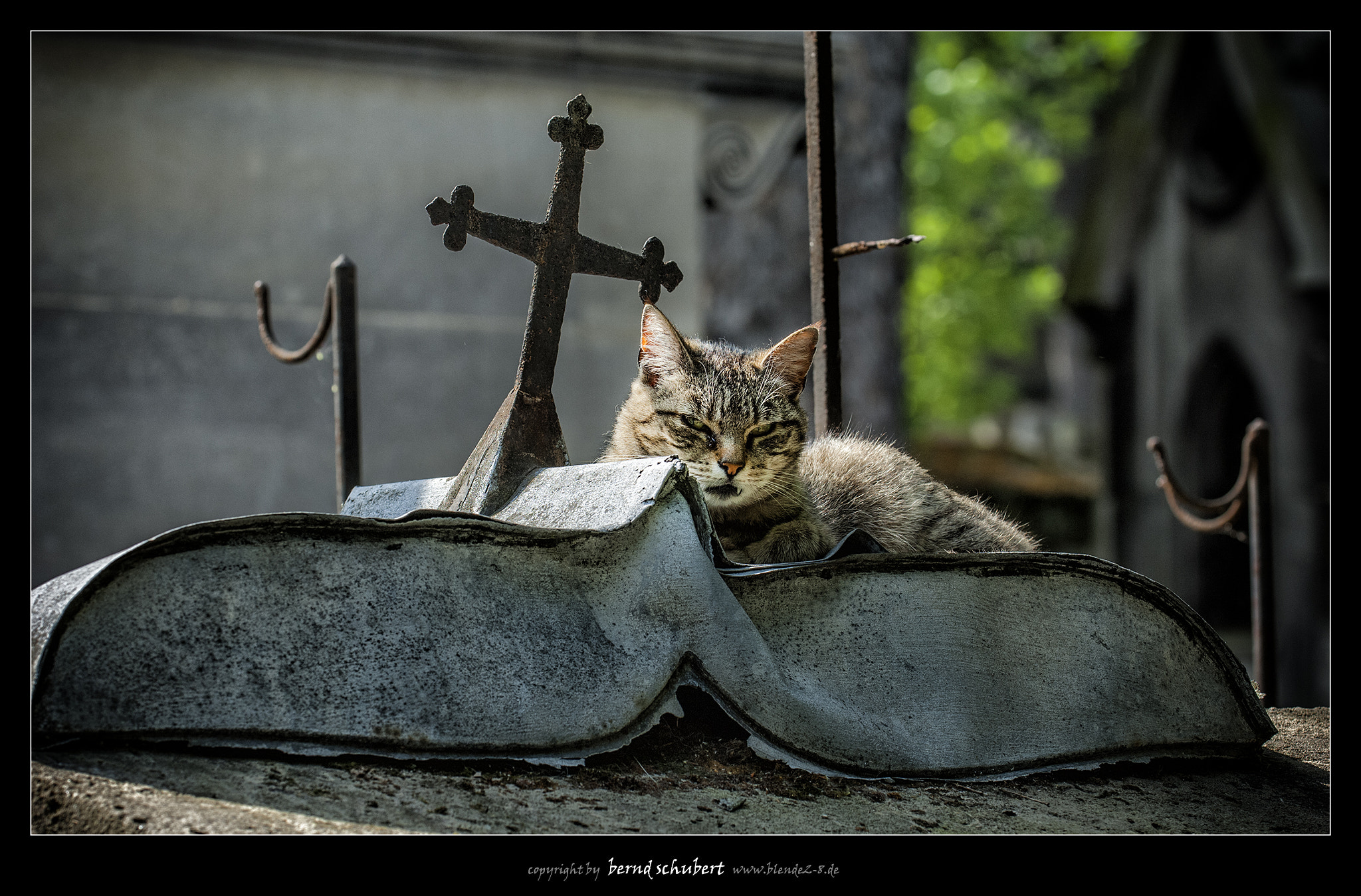 Nikon D2X + Nikon AF-S Nikkor 70-200mm F2.8G ED VR sample photo. Cimetière de montmartre photography