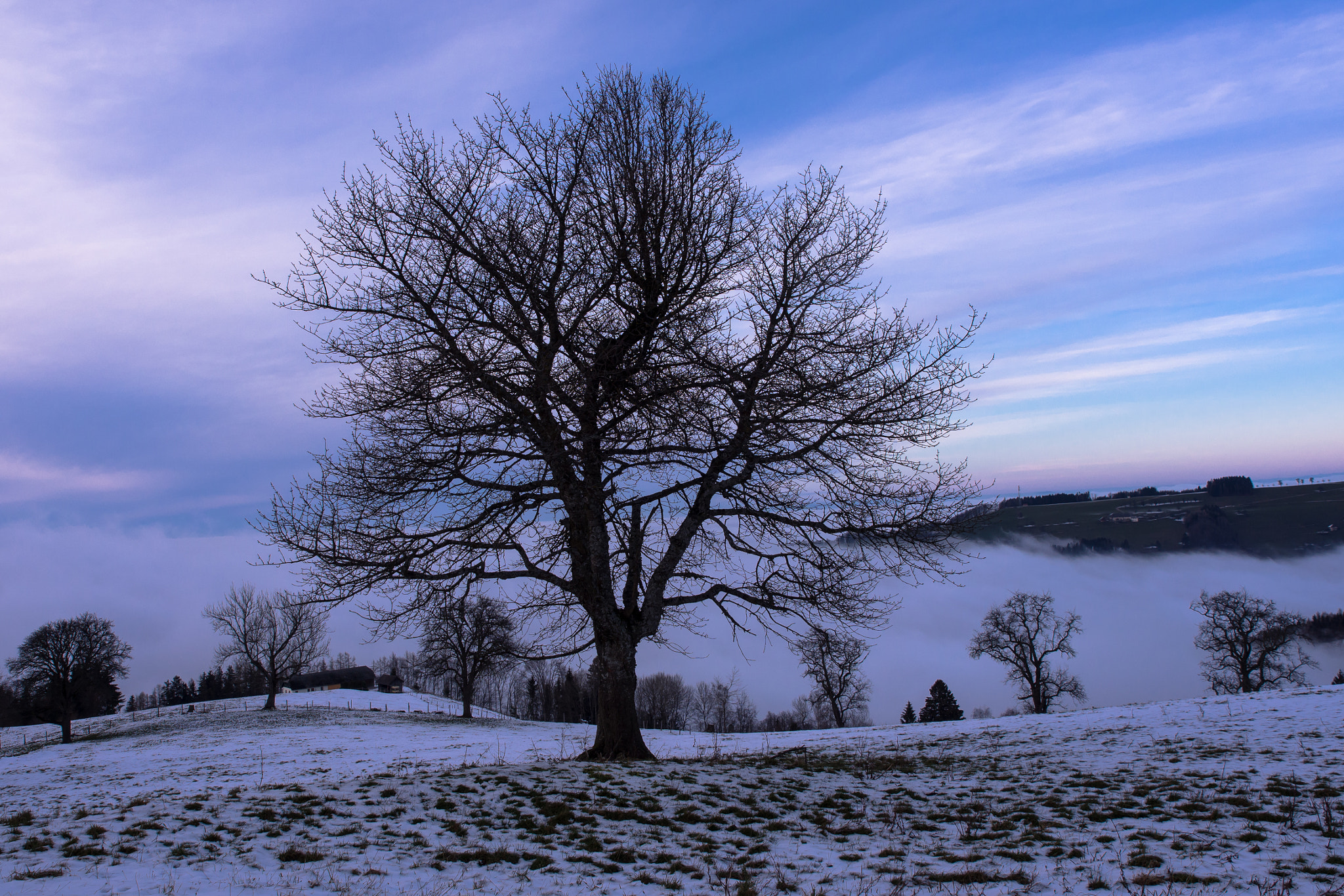 Olympus Zuiko Digital ED 12-60mm F2.8-4.0 SWD sample photo. Sunset moody blues photography