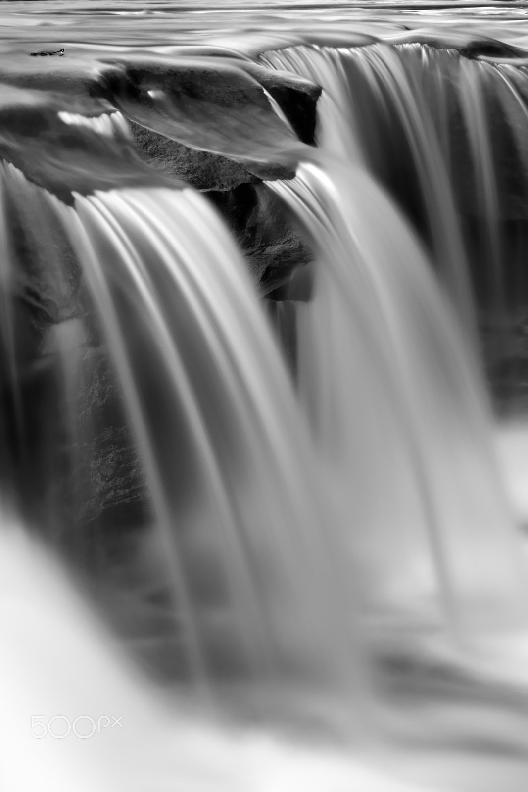Nikon D3X sample photo. Elegant photography