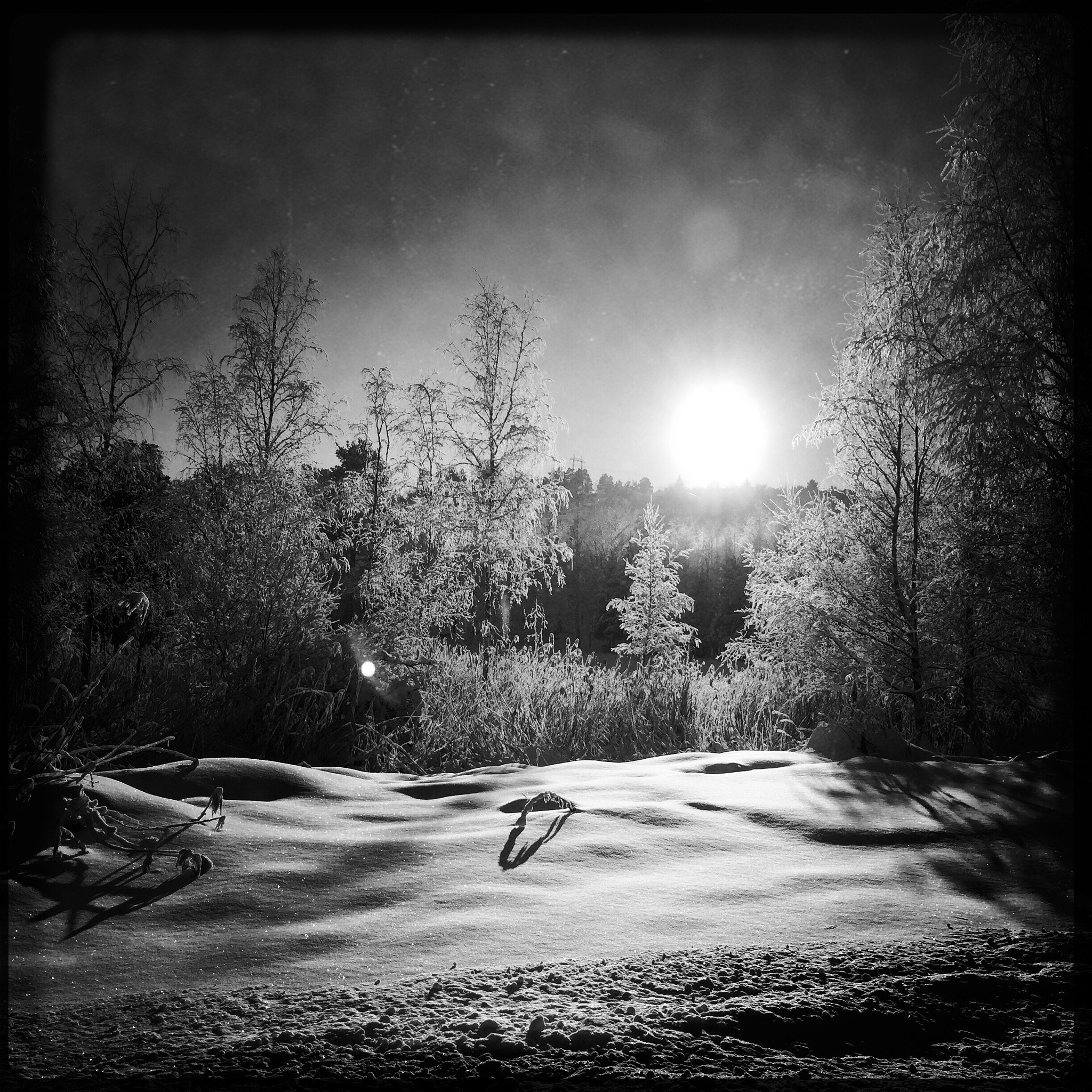 Hipstamatic 305 sample photo. Winter landscape photography